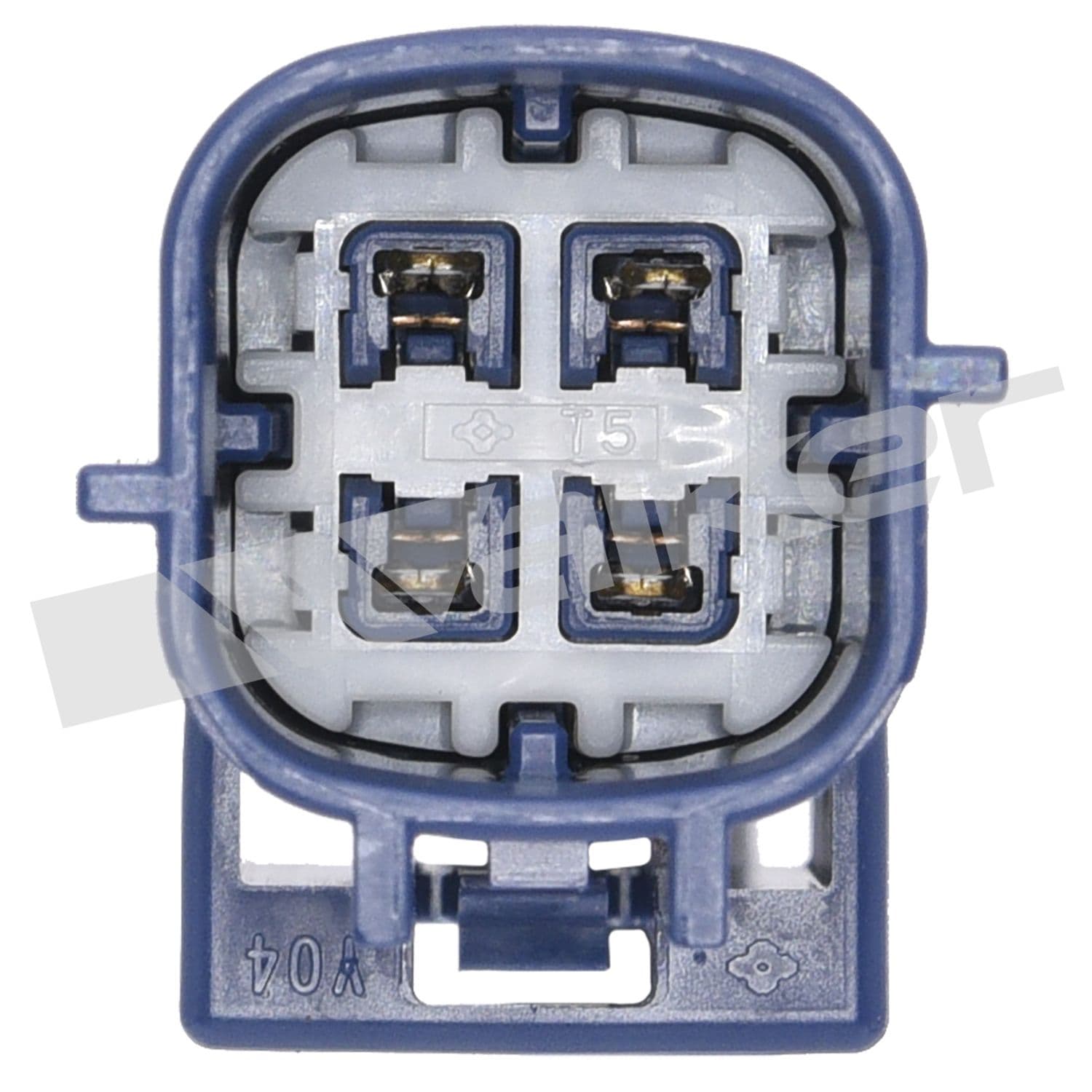 226-250-24457 - Image 2