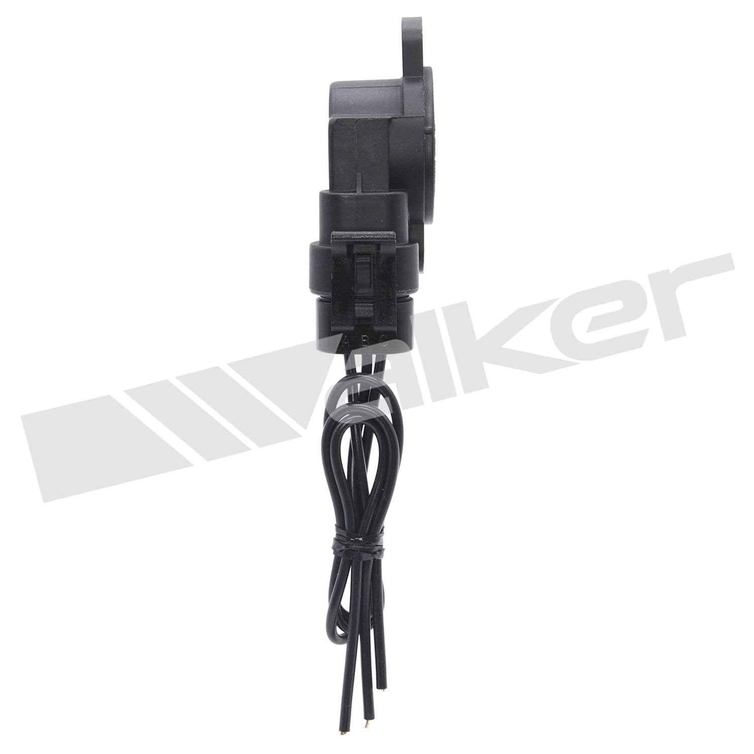 226-200-91351 - Image 4