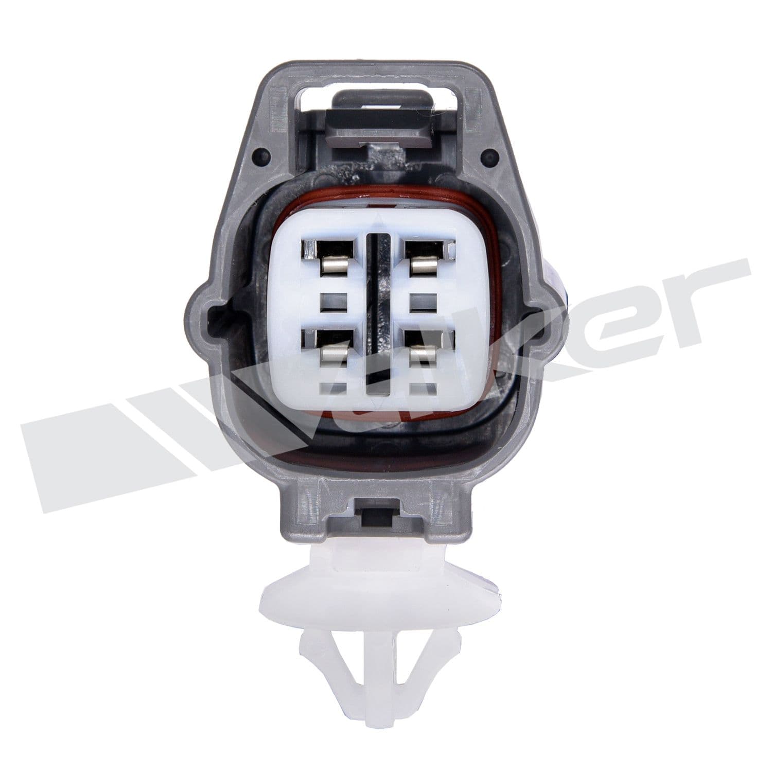 226-250-24837 - Image 4