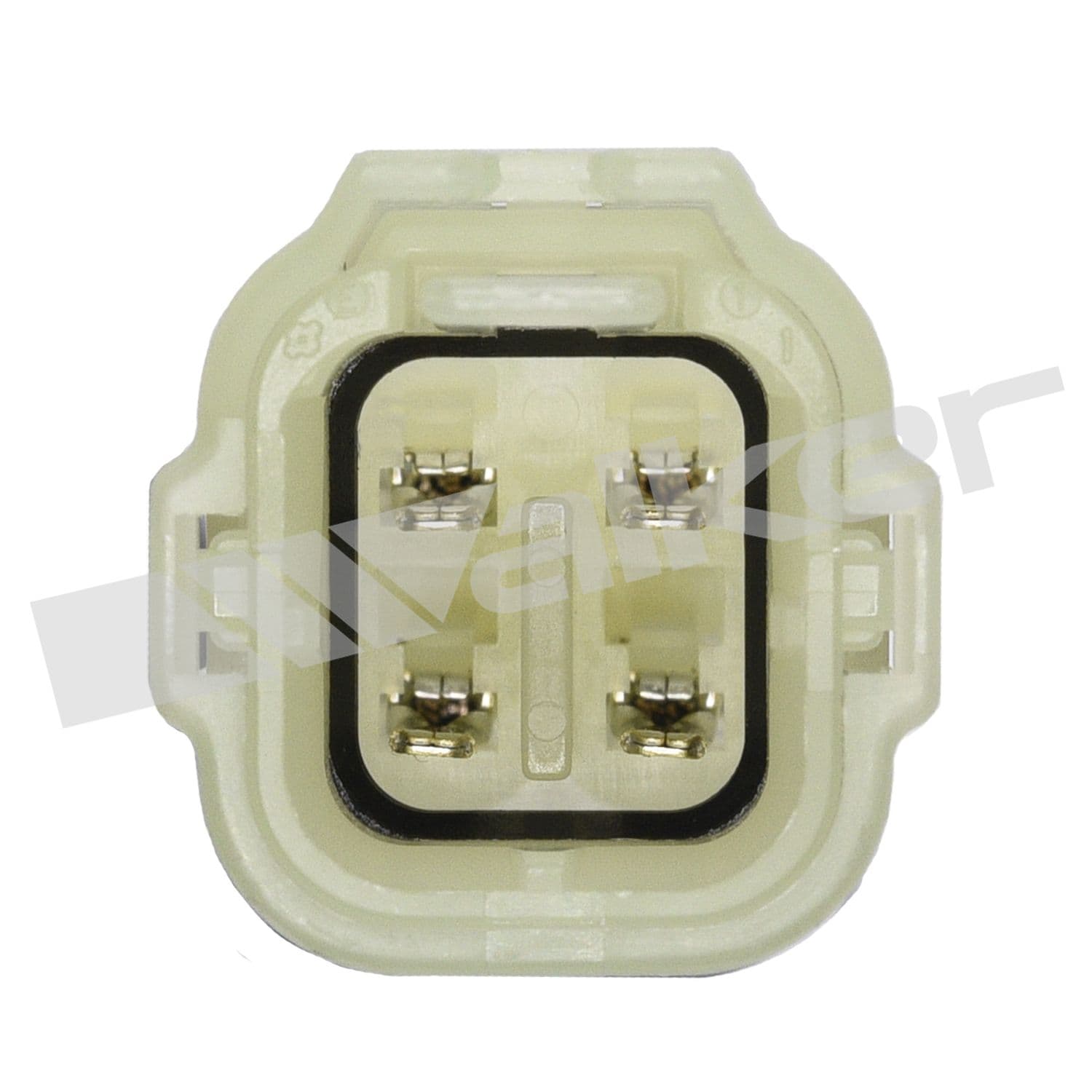 226-350-34243 - Image 3