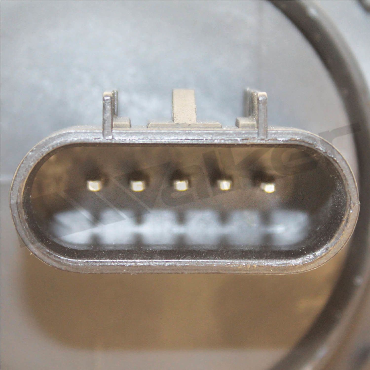 226-245-1149 - Image 4