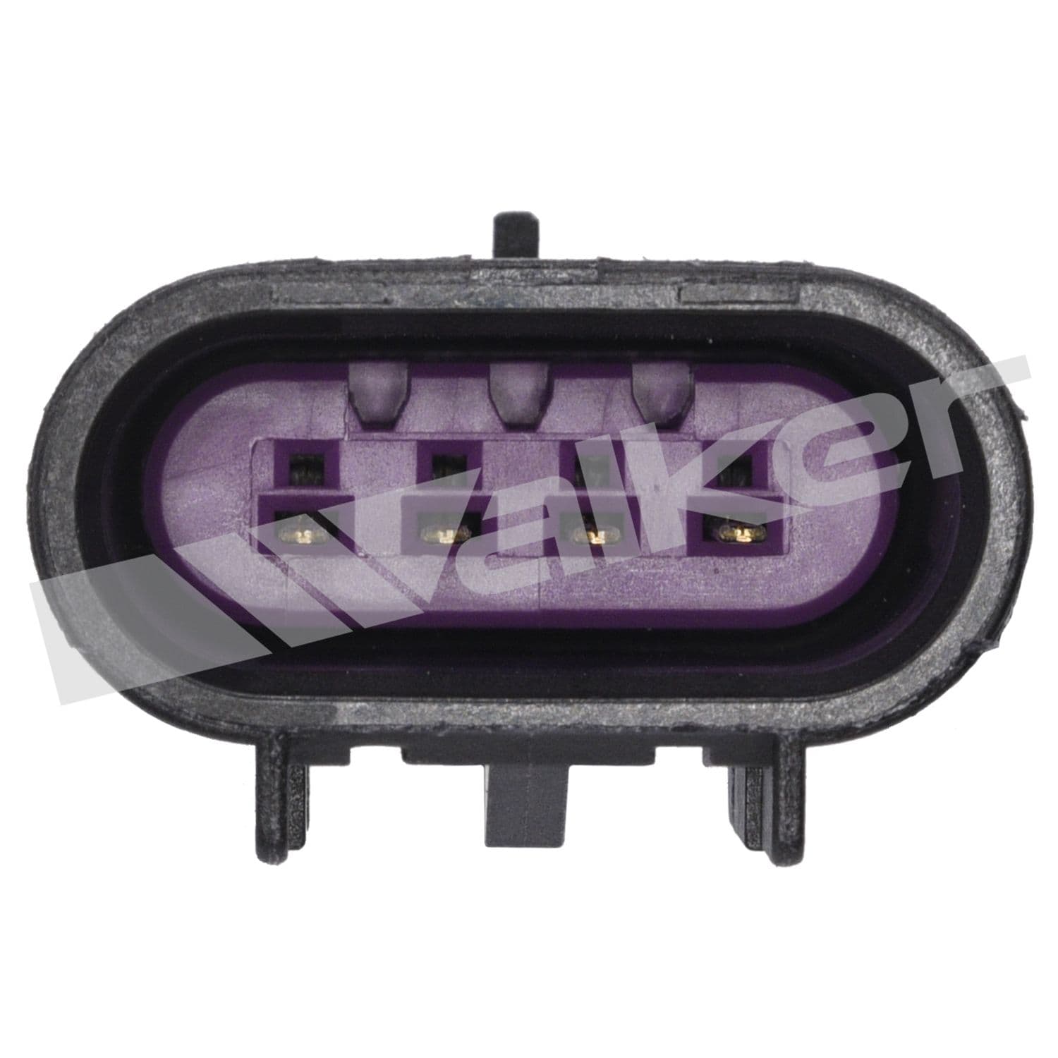 226-250-24707 - Image 4