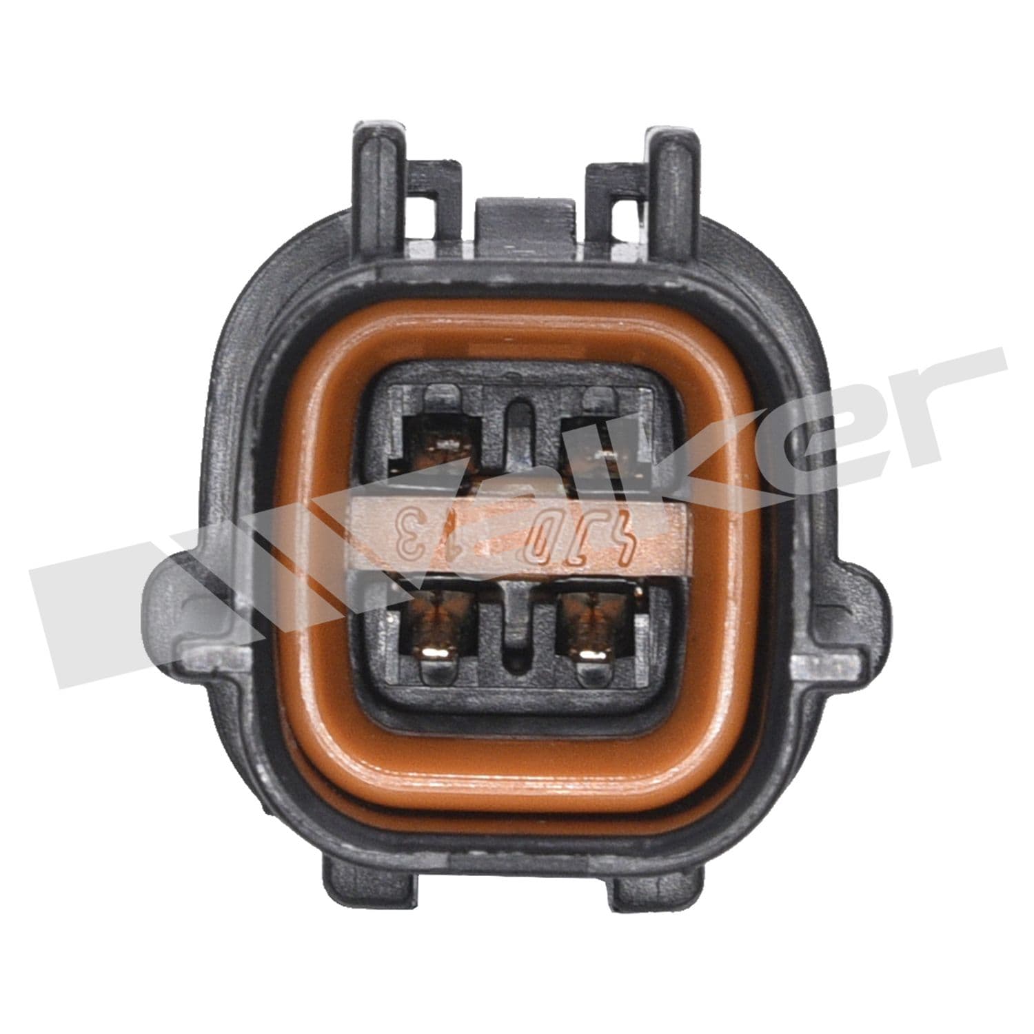 226-250-24653 - Image 2