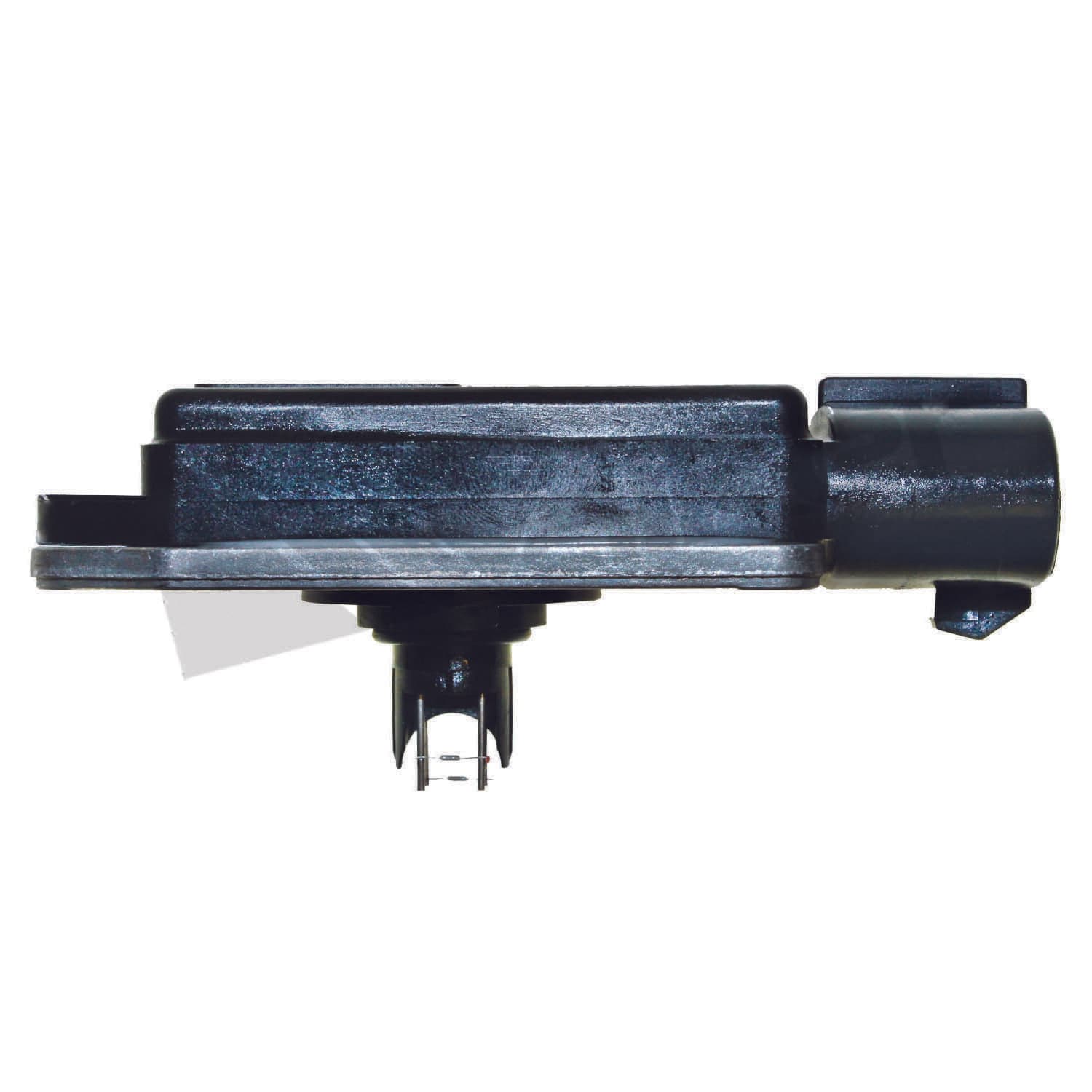 226-245-2030 - Image 3