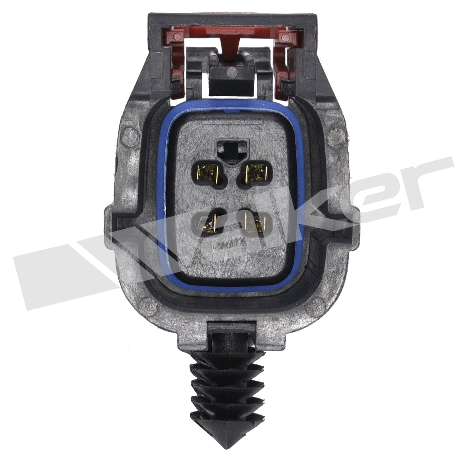 226-250-24314 - Image 3