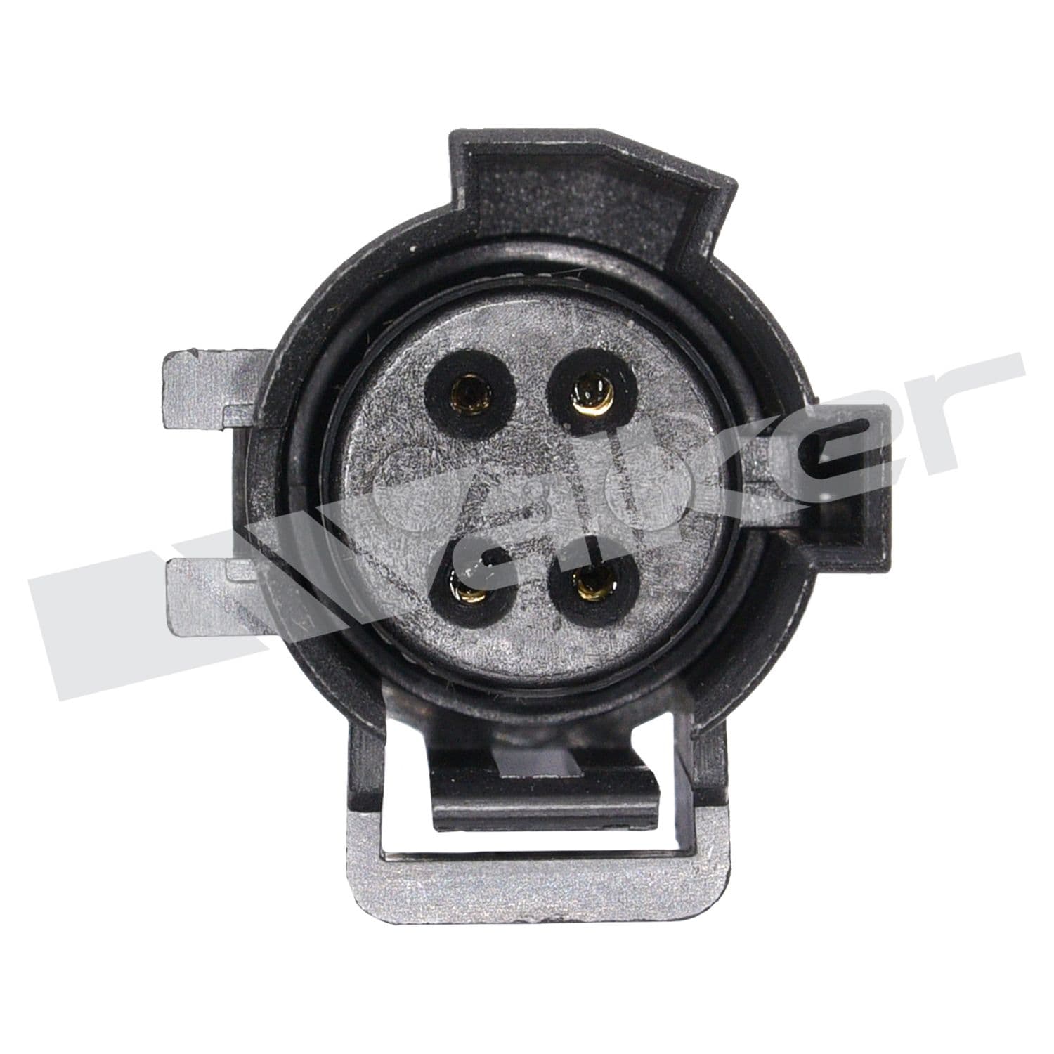 226-250-24081 - Image 4