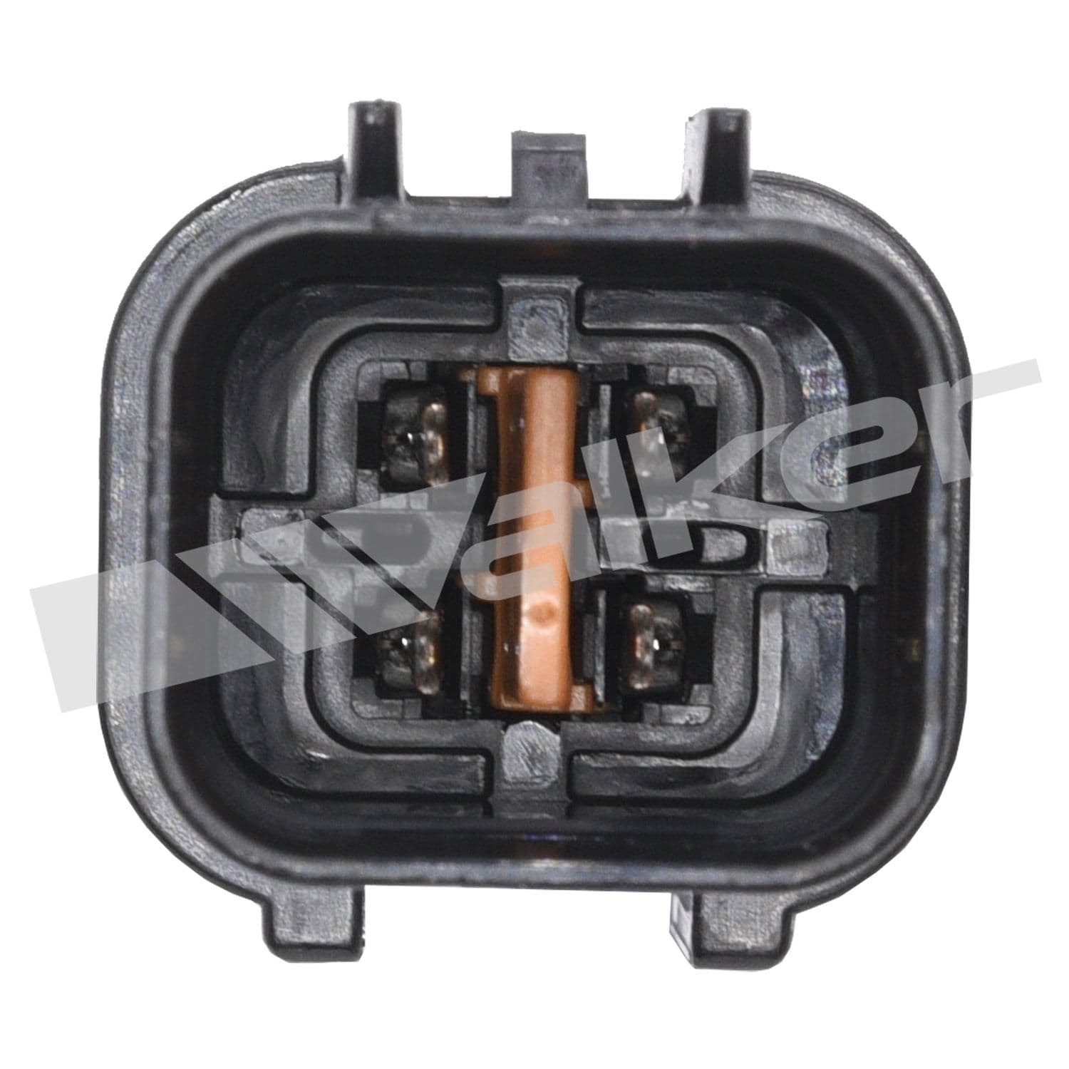 226-250-24631 - Image 1