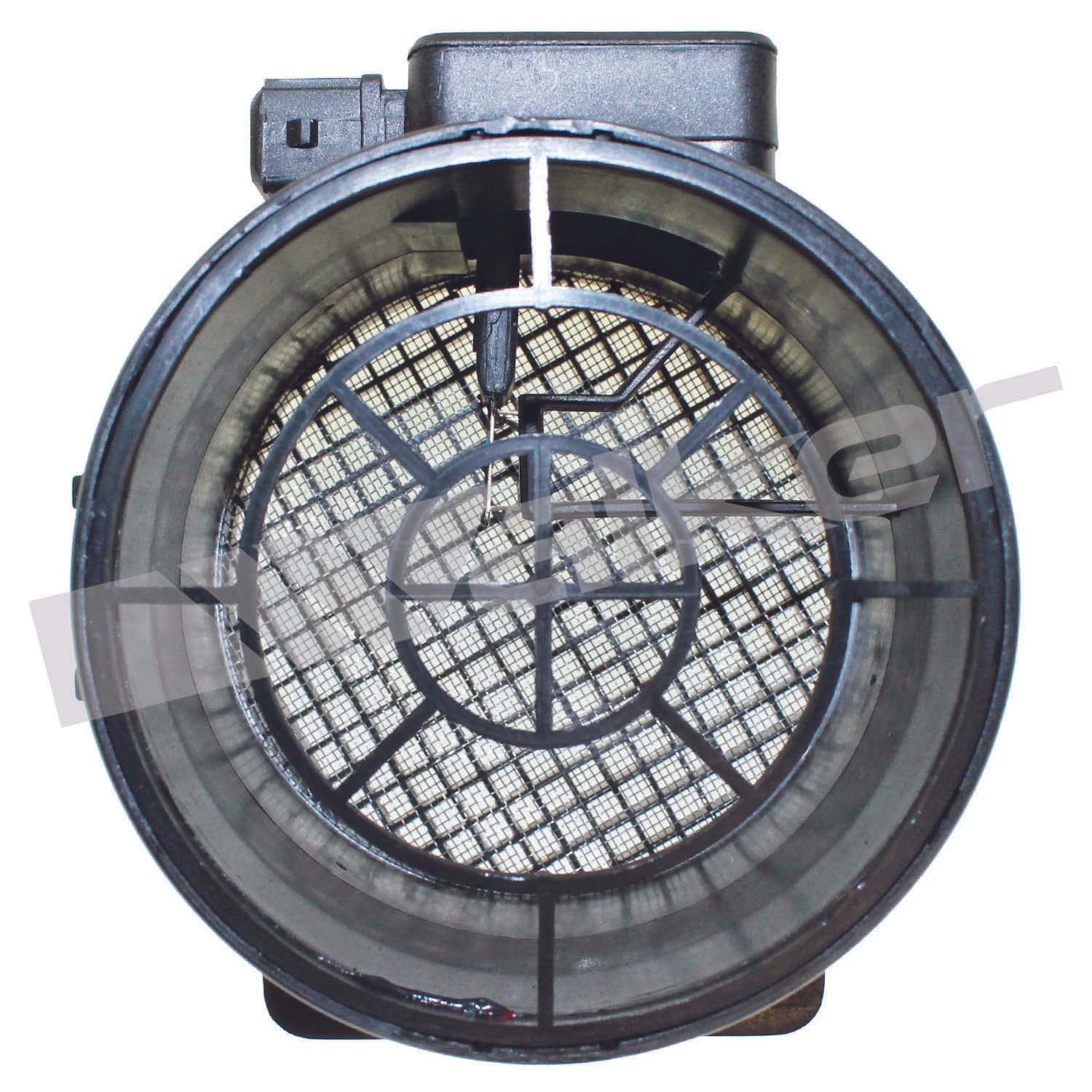 226-245-1142 - Image 2