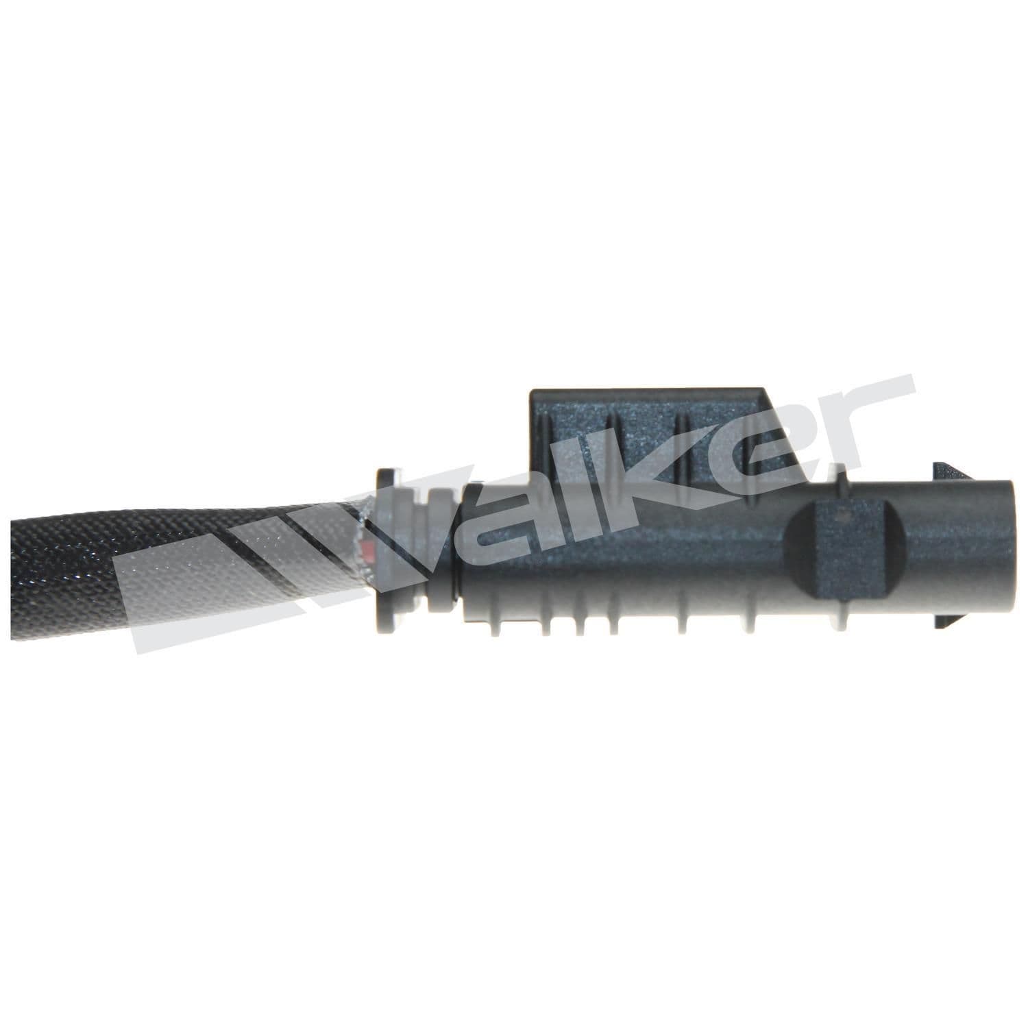 226-250-241214 - Image 3