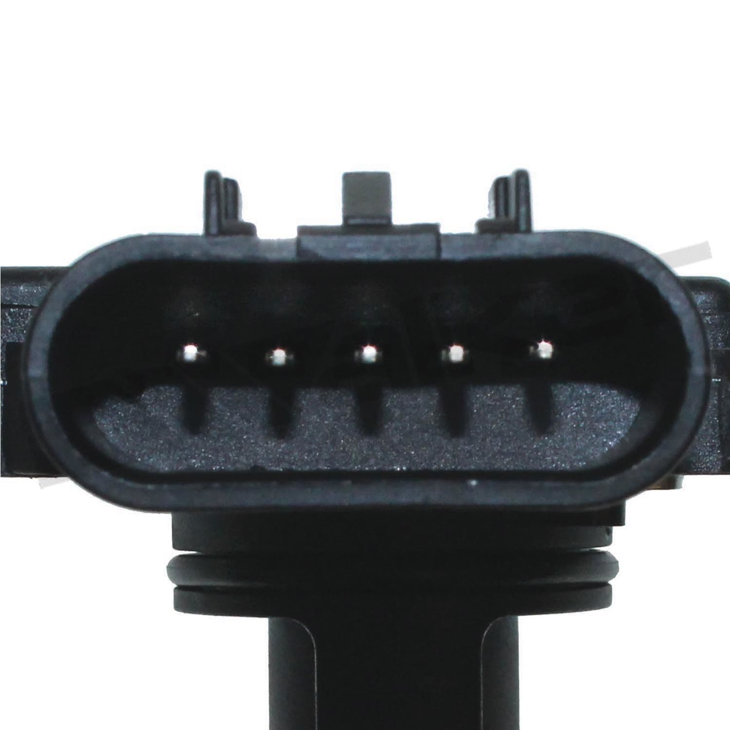 226-245-1177 - Image 4