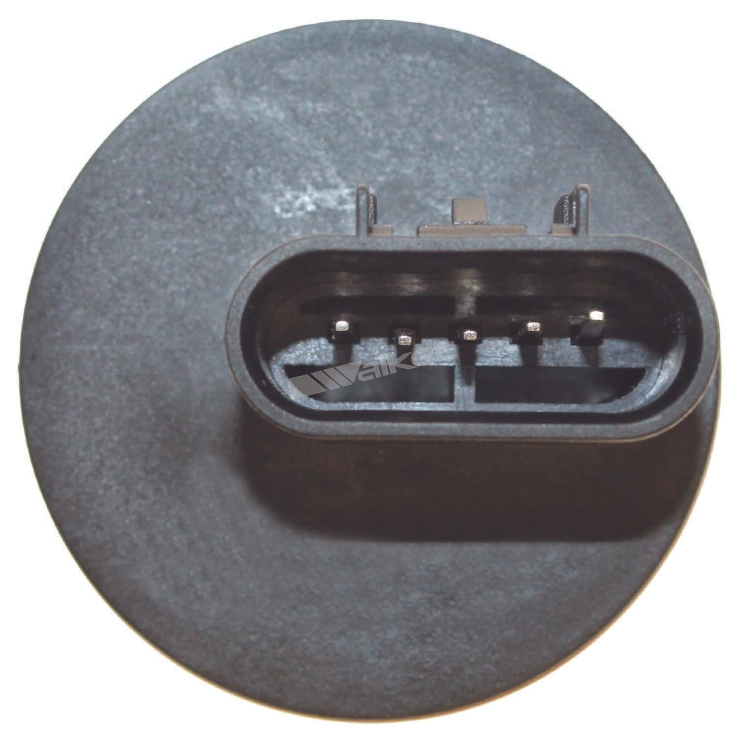 226-245-2133 - Image 4