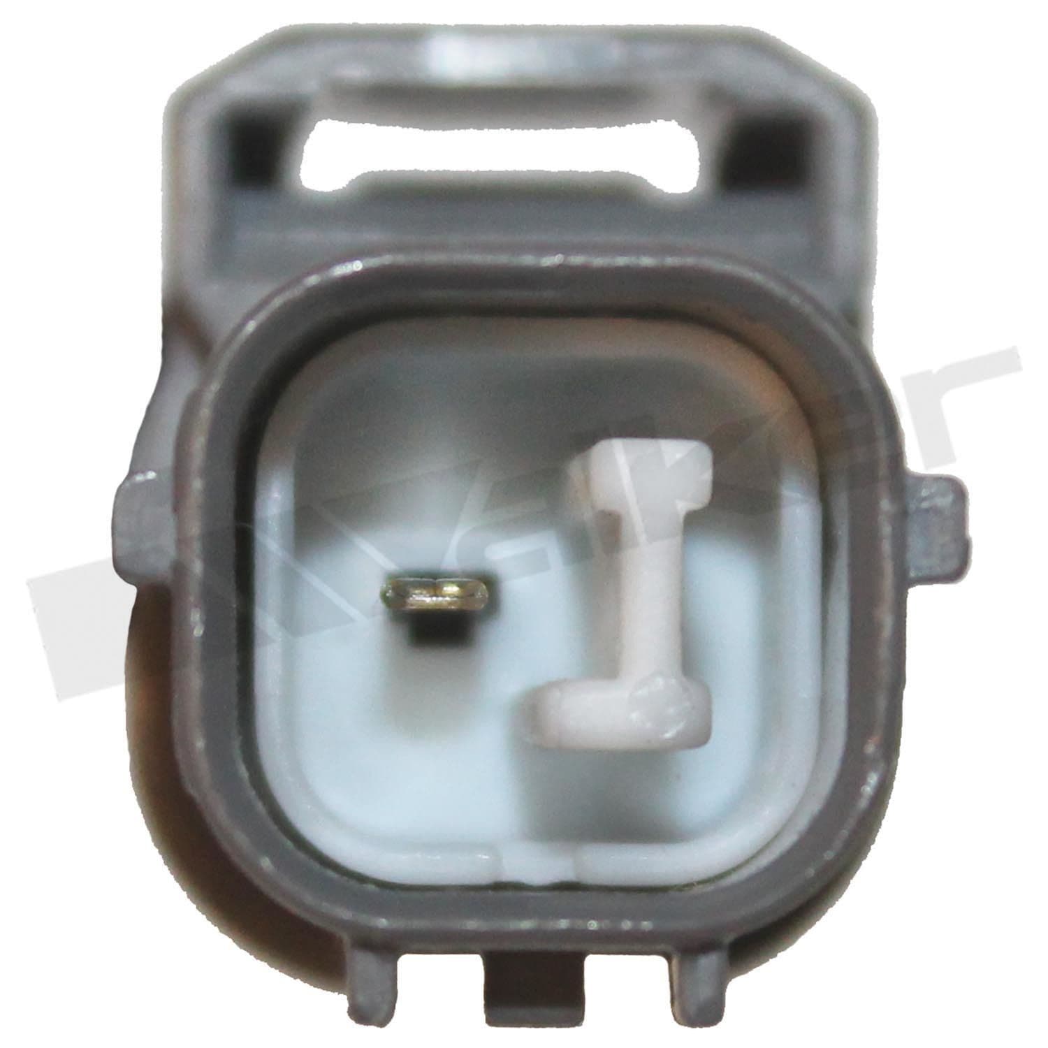 226-350-31002 - Image 4