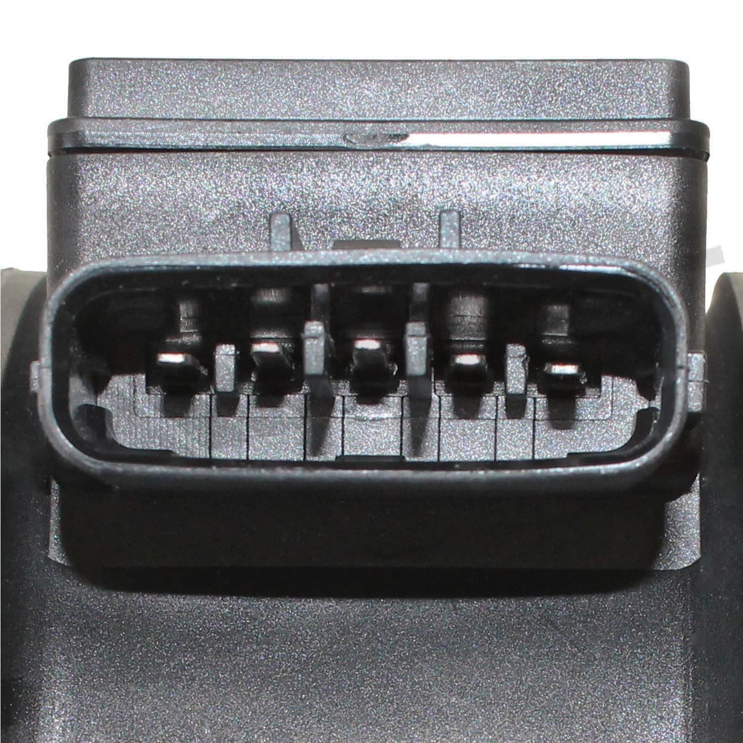 226-245-1164 - Image 4