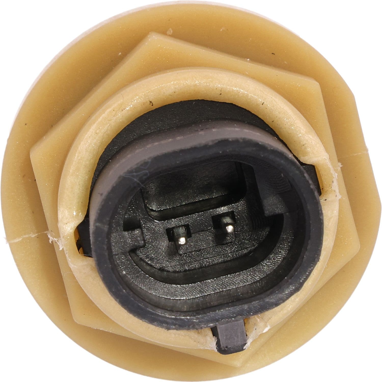 630-1815486 - Image 1