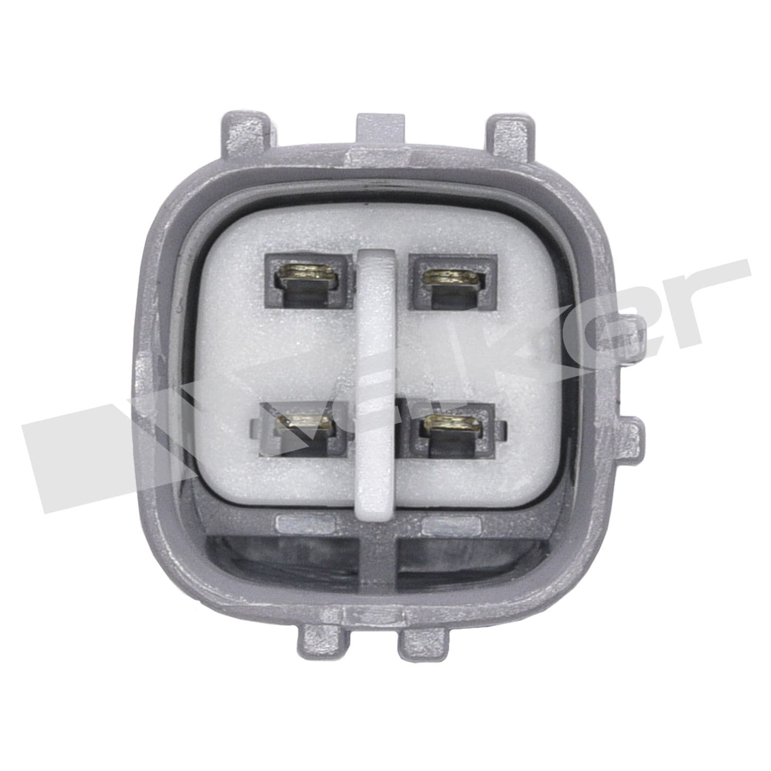 226-250-24623 - Image 3