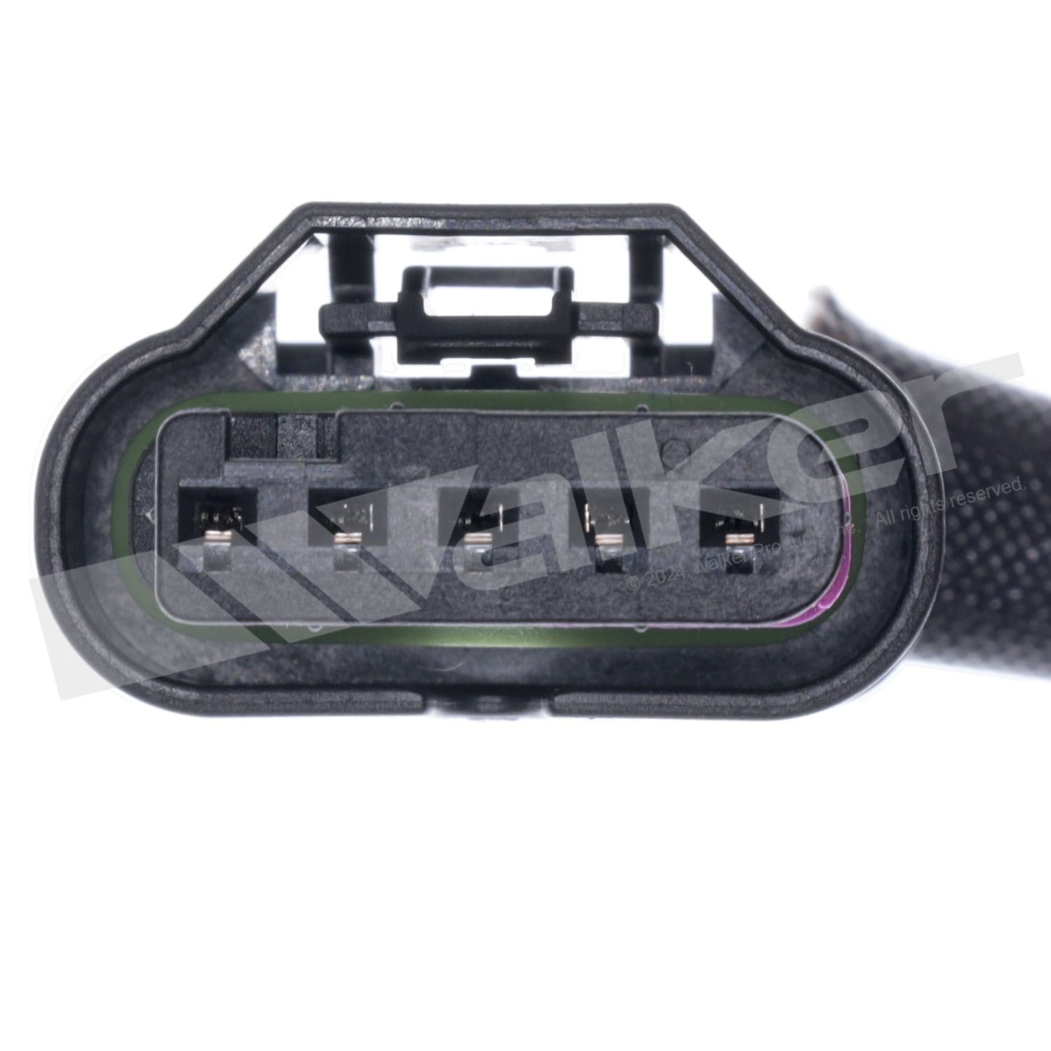 226-250-25174 - Image 3