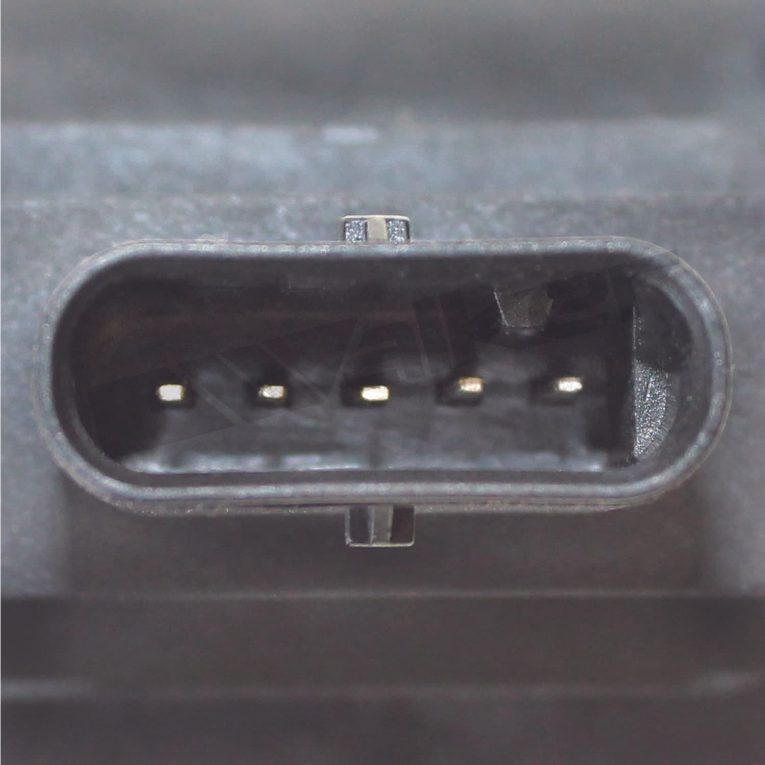 226-245-1231 - Image 4