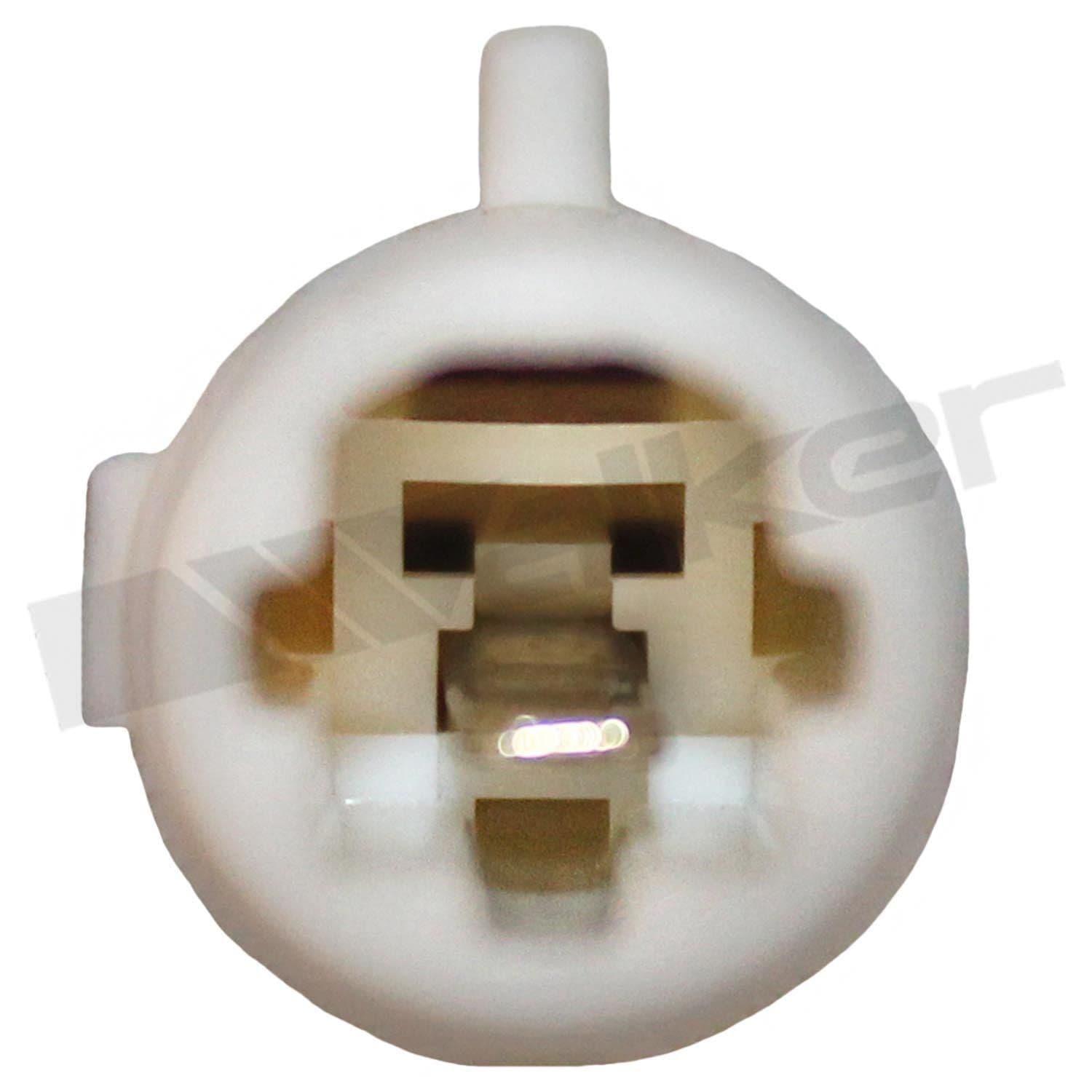 226-350-31029 - Image 2