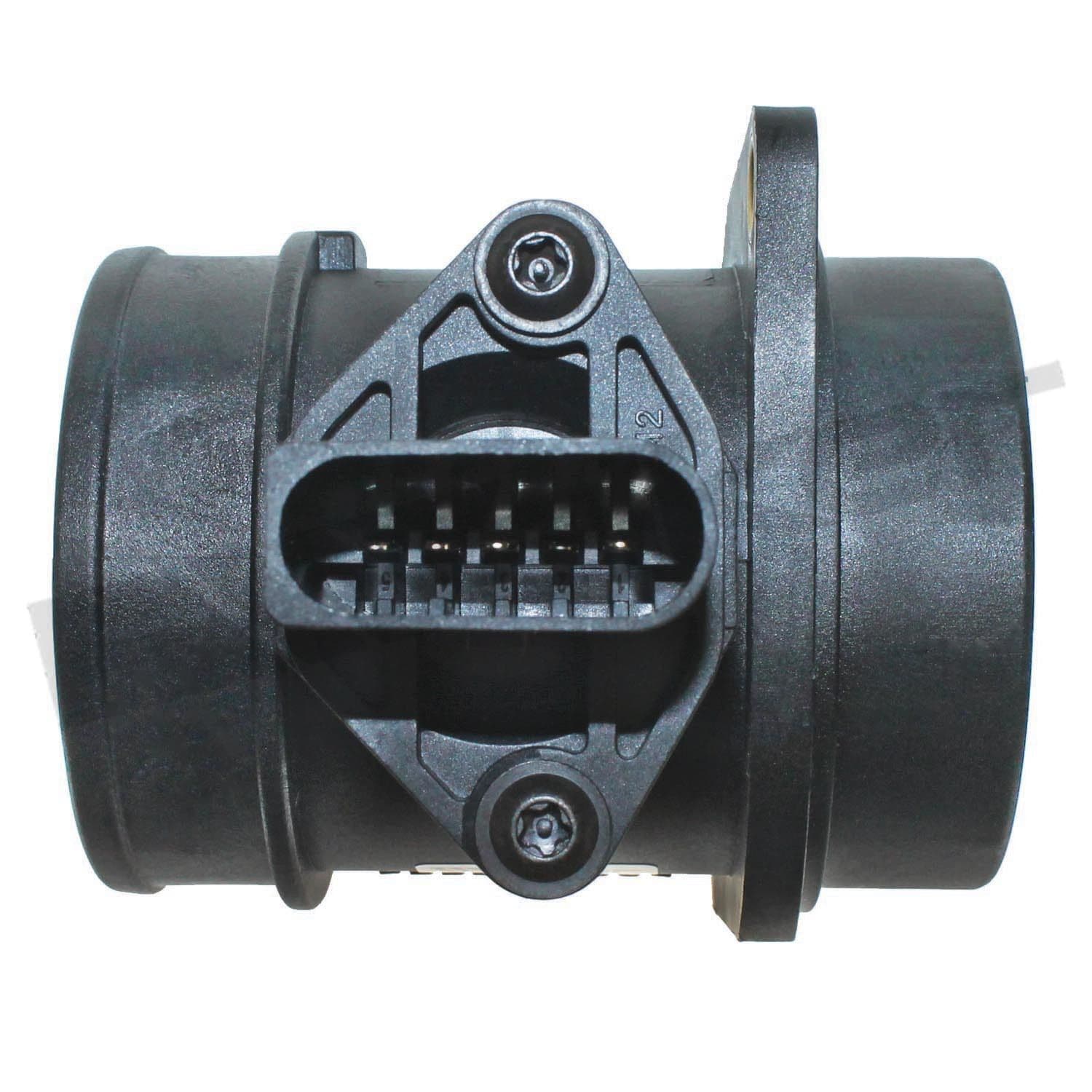 226-245-1080 - Image 4