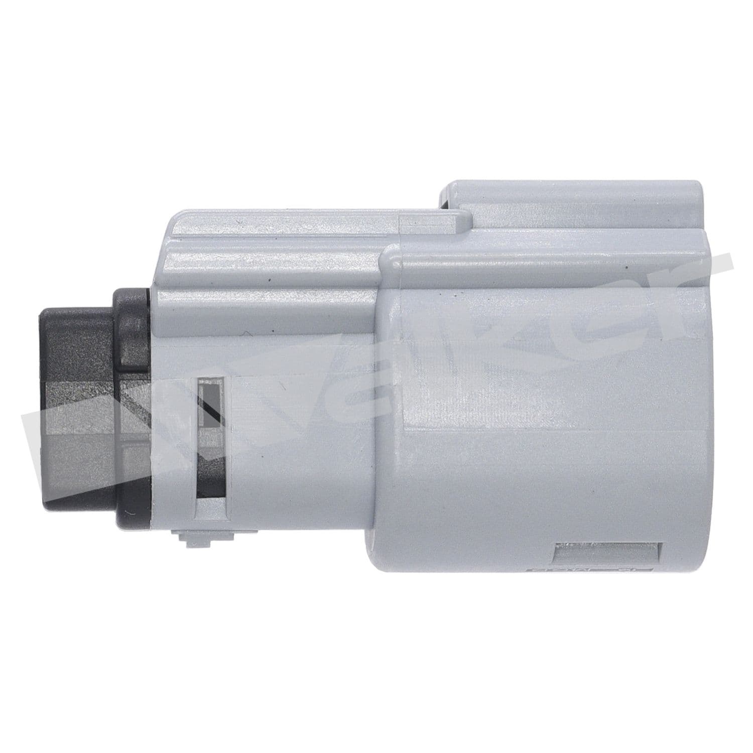 226-250-241221 - Image 3