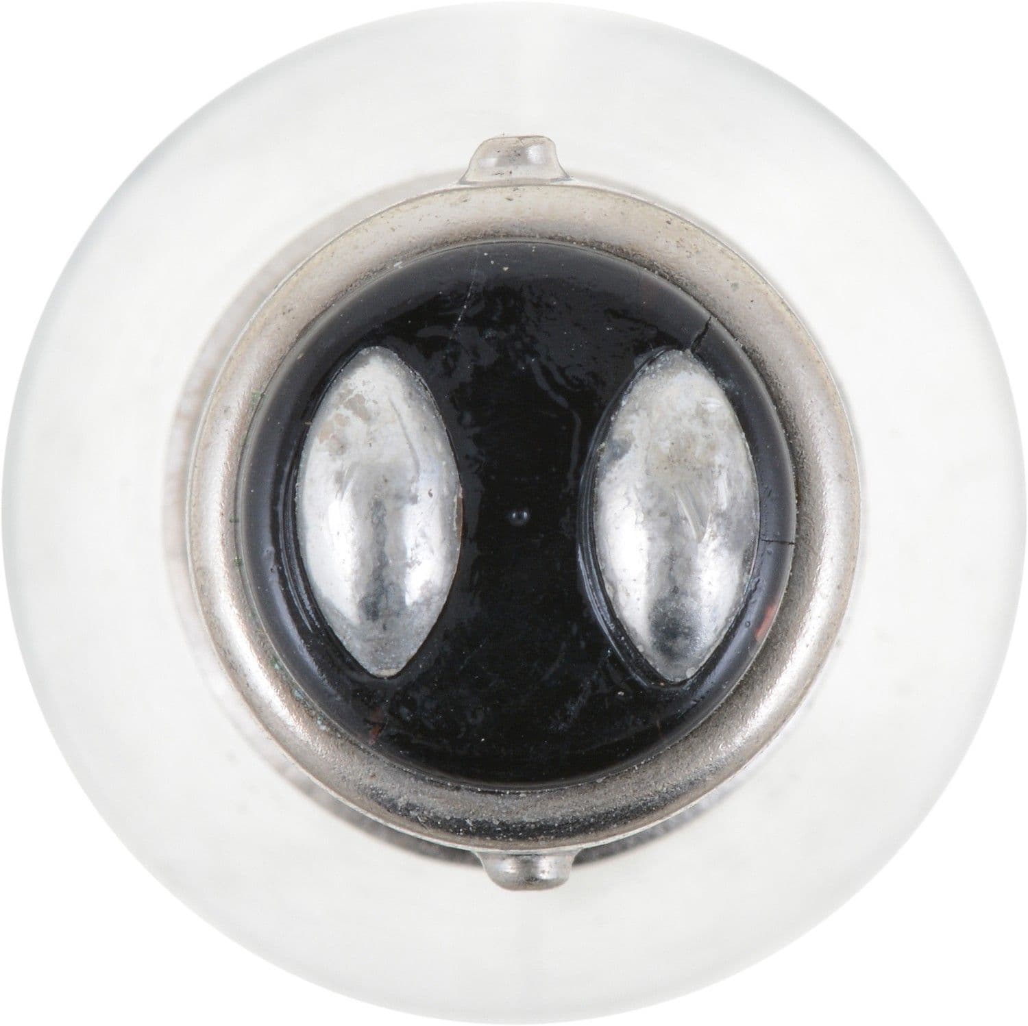 844-P21/5WCP - Image 2