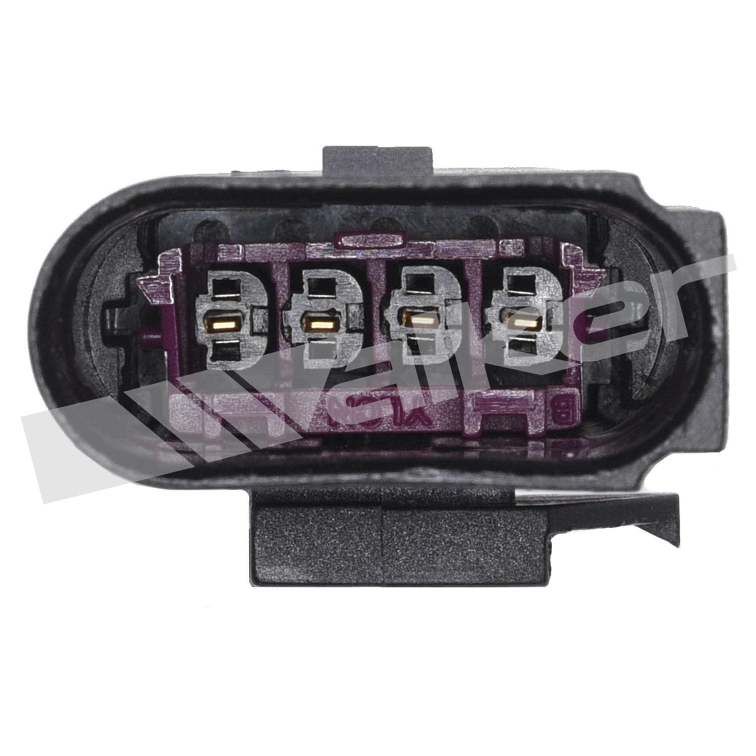 226-250-24670 - Image 4