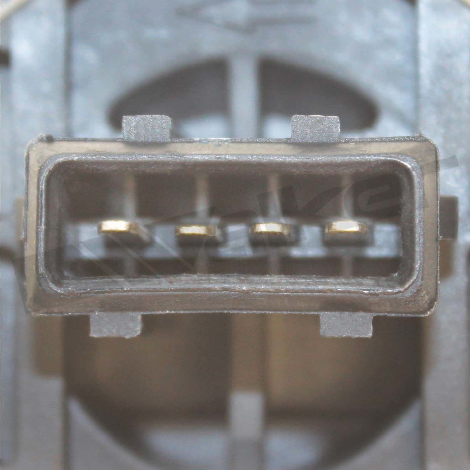 226-245-1126 - Image 4