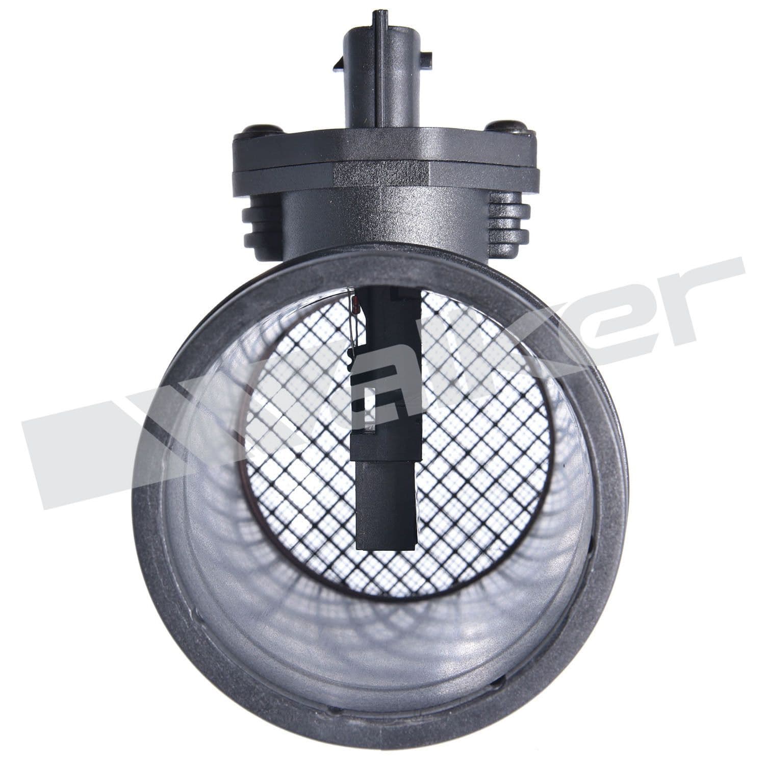 226-245-1111 - Image 2