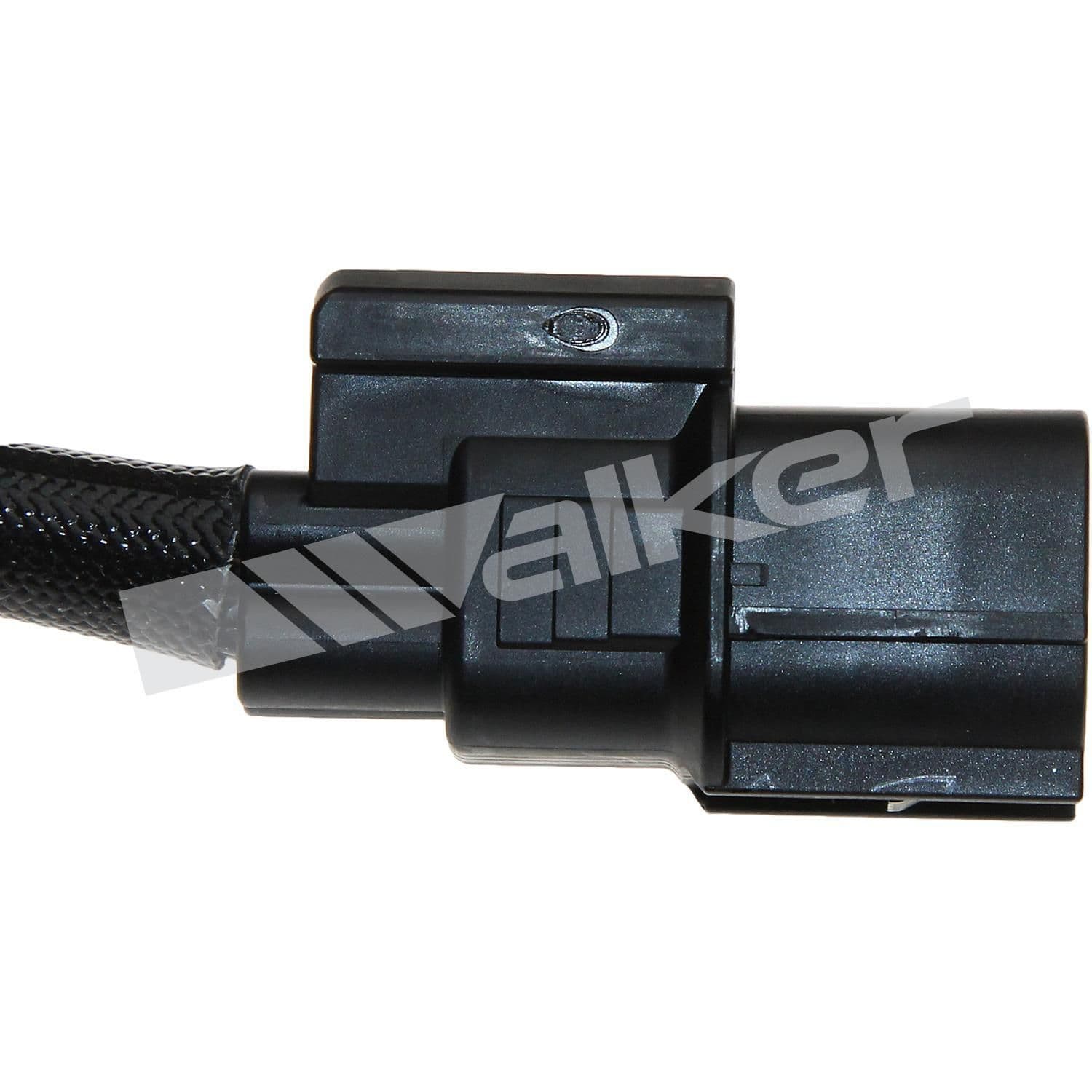 226-250-241196 - Image 4