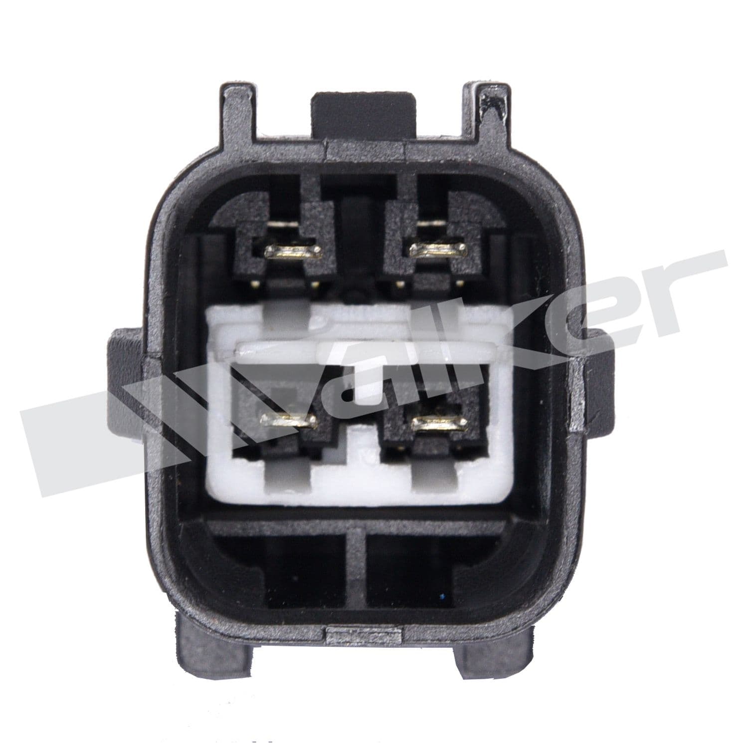 226-250-24878 - Image 4