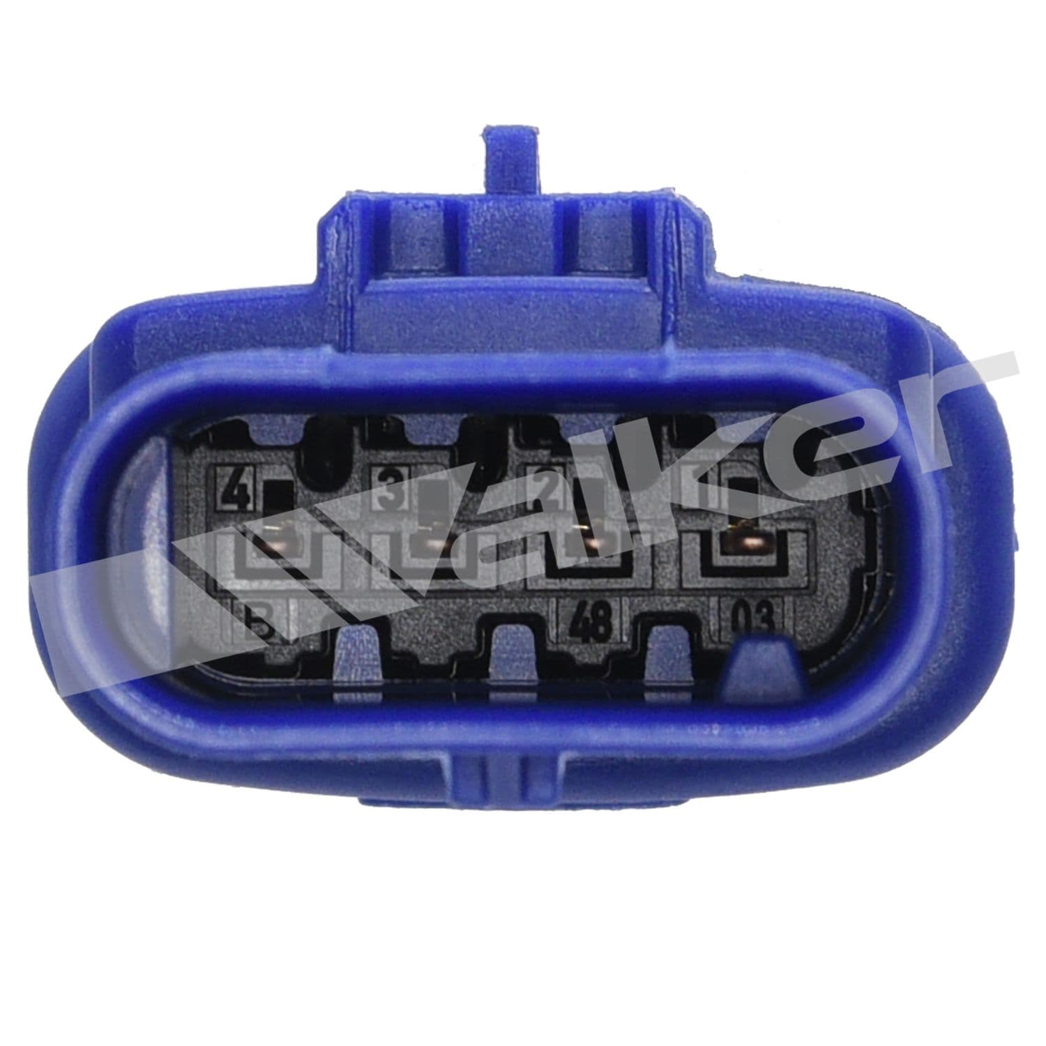 226-350-341033 - Image 4