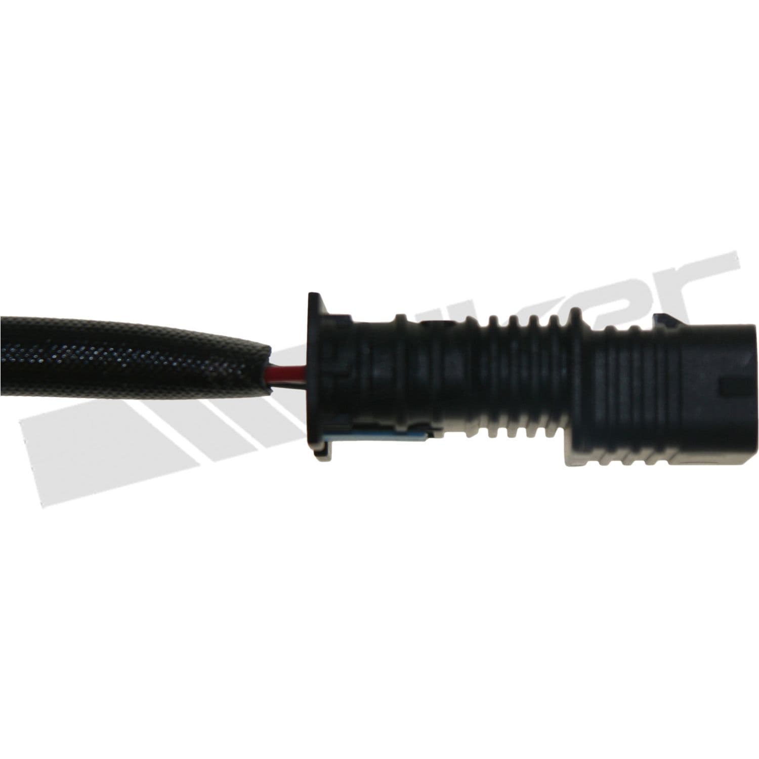 226-250-241161 - Image 4