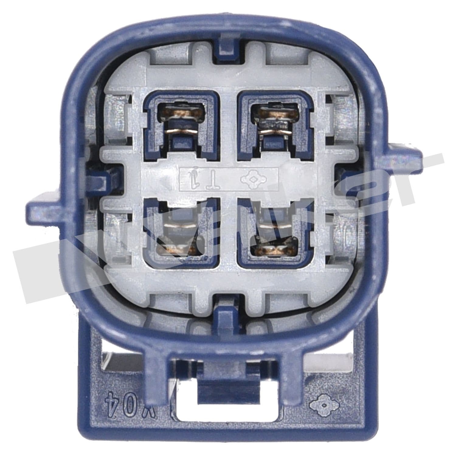 226-250-24418 - Image 2