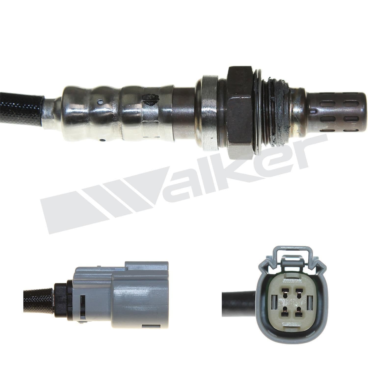 226-250-241185 - Image 4