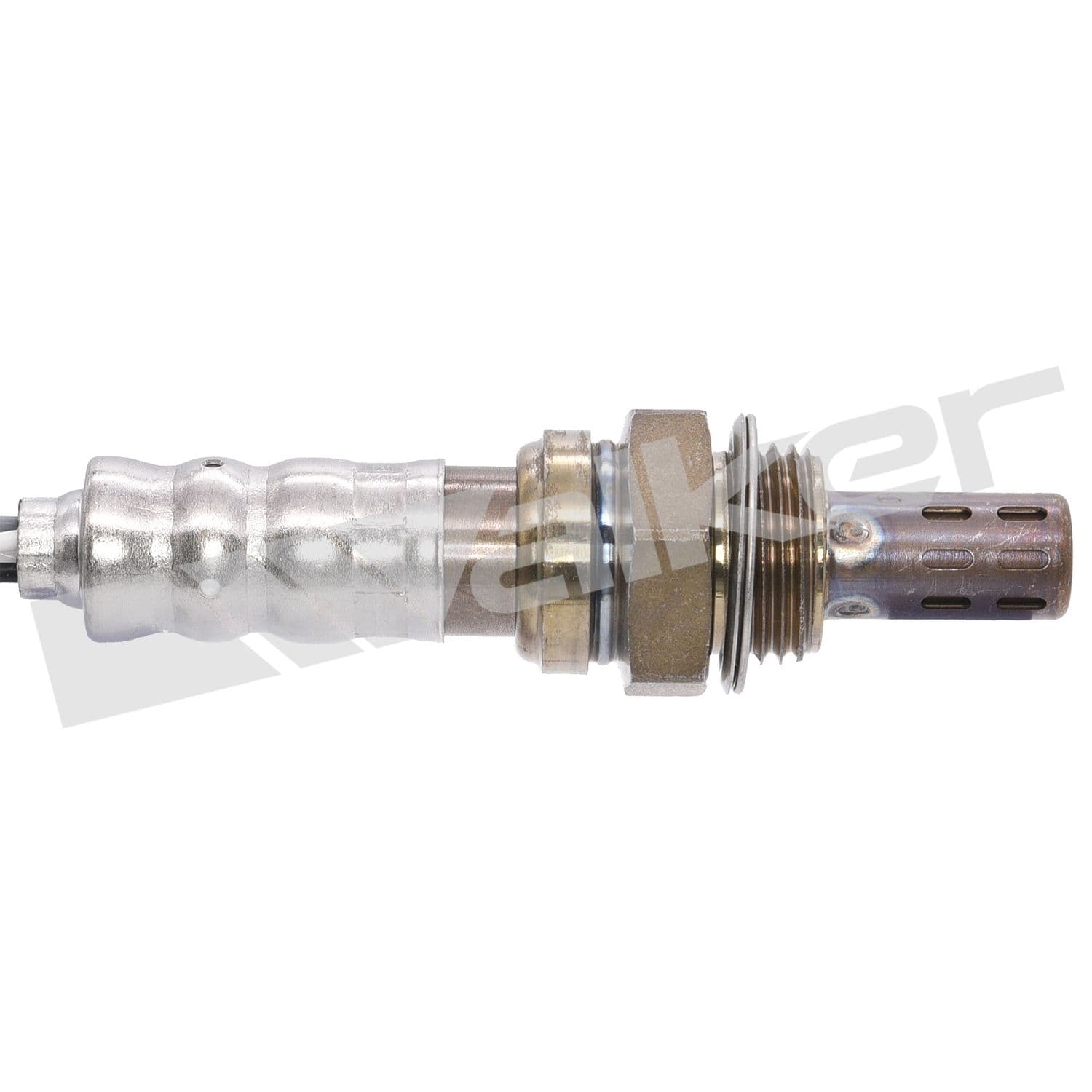 226-250-24434 - Image 2