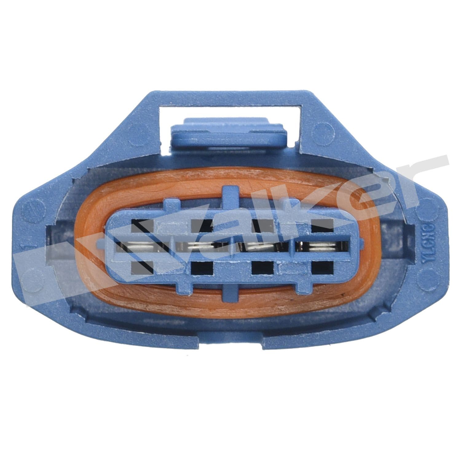 226-250-24765 - Image 4