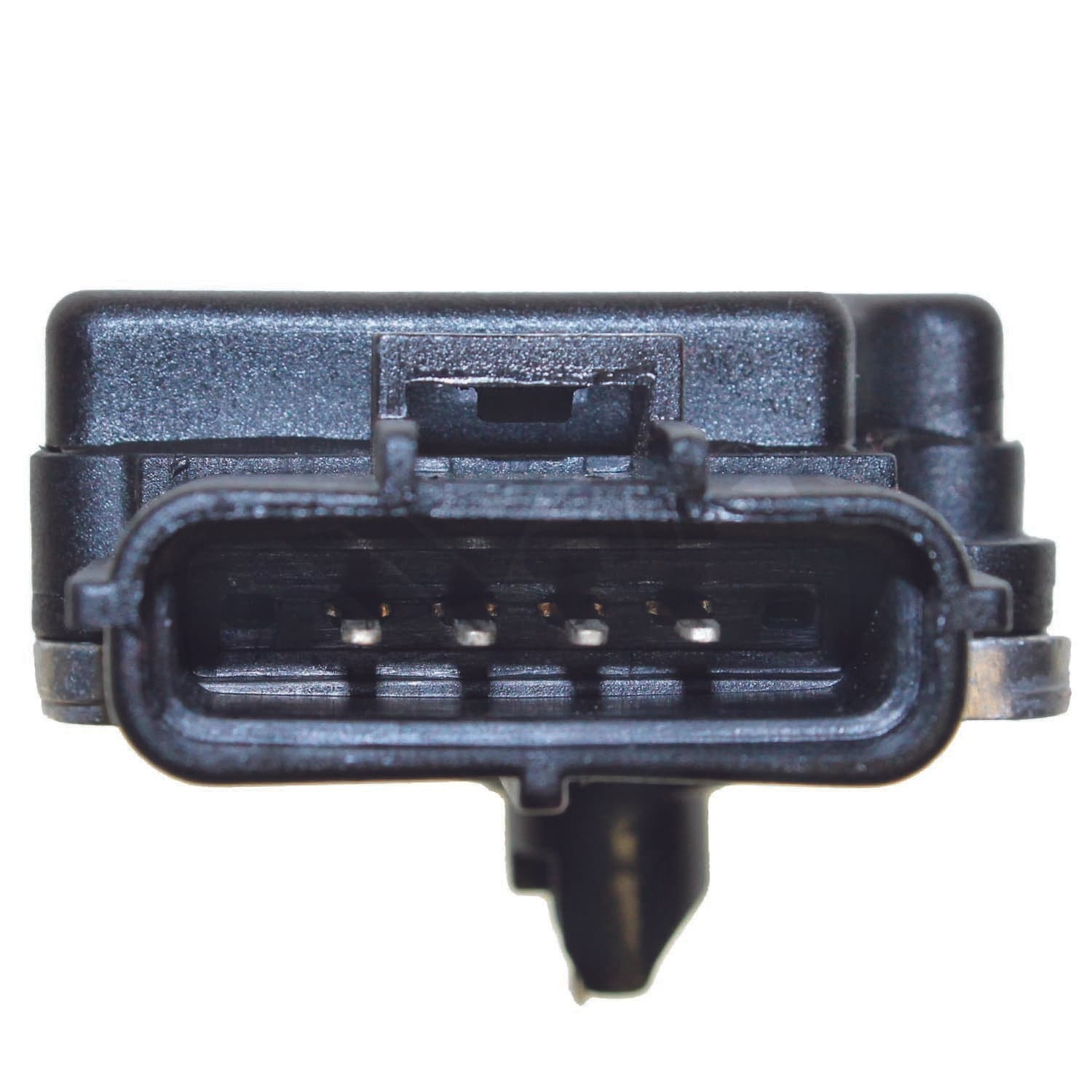 226-245-2029 - Image 2