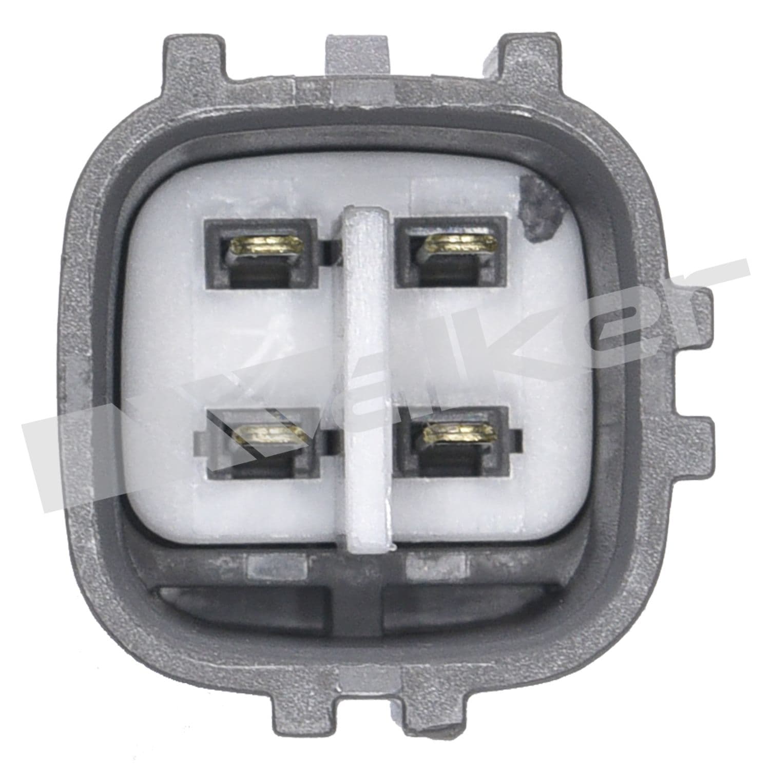 226-250-24906 - Image 4