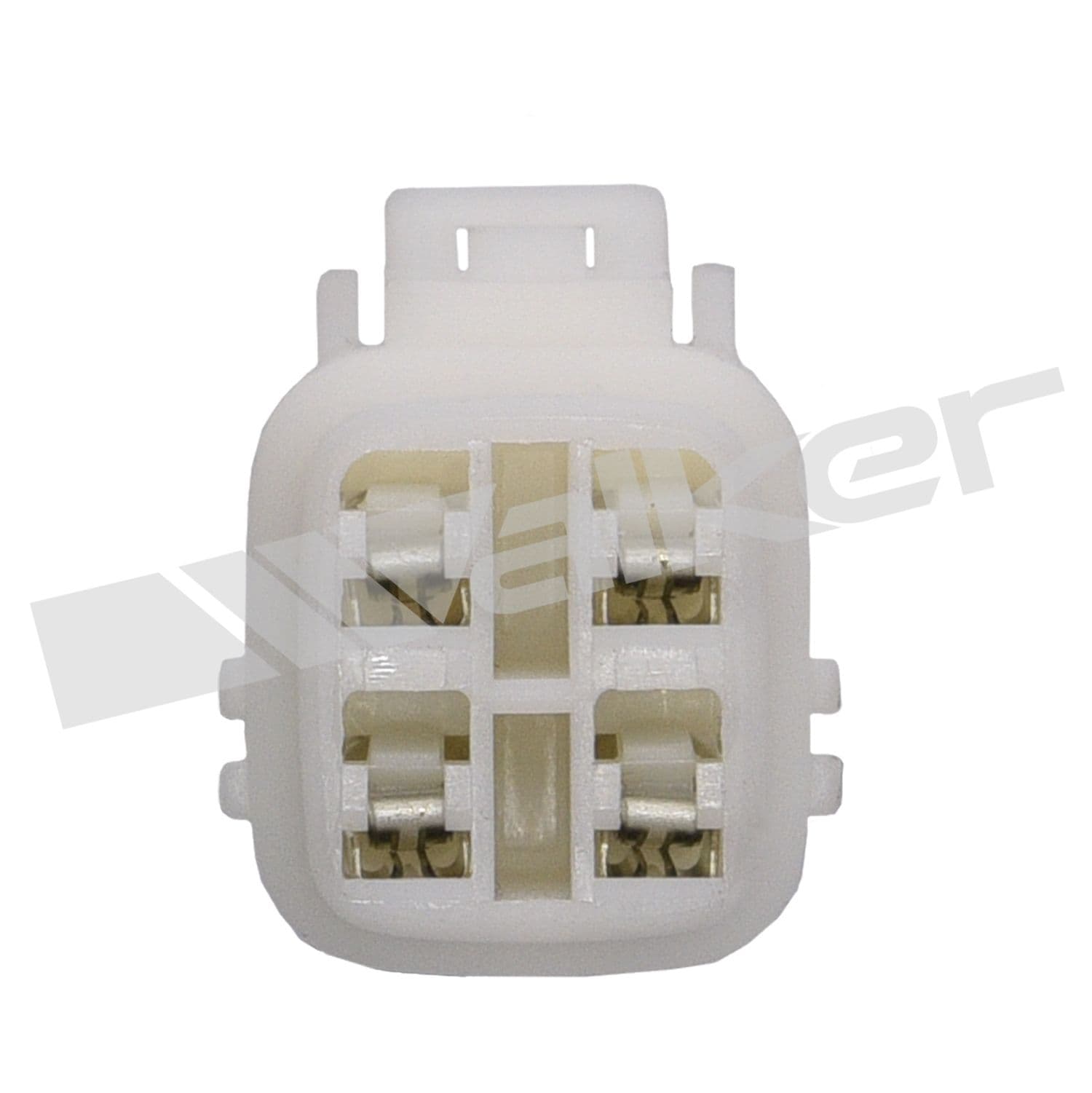 226-250-24508 - Image 2