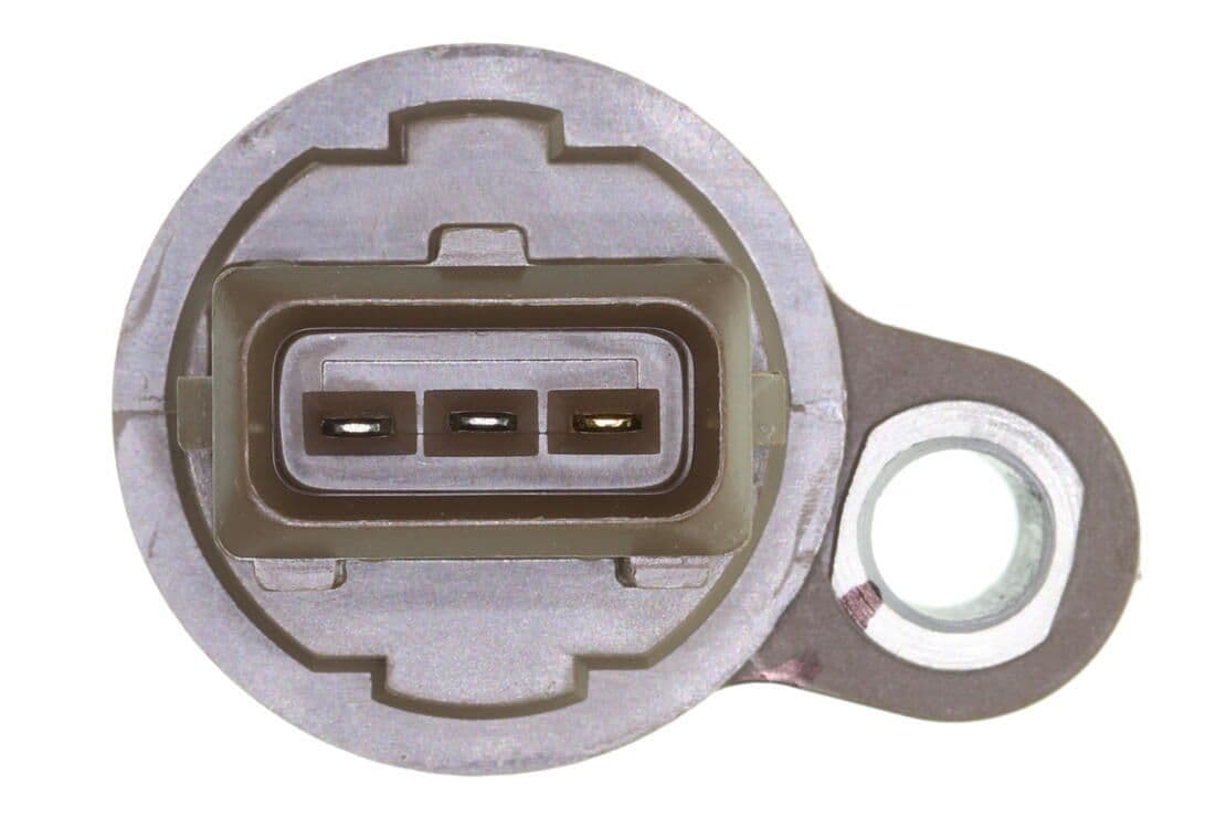 370-V52-72-0121 - Image 2