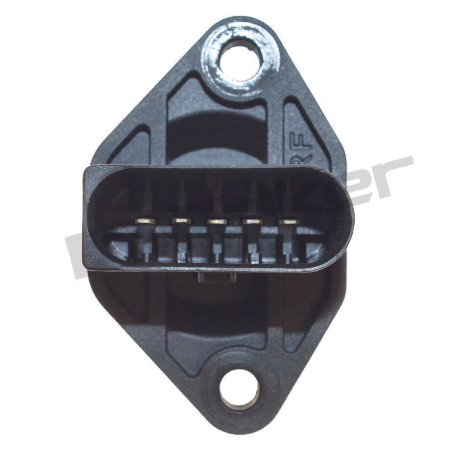 226-245-2096 - Image 4