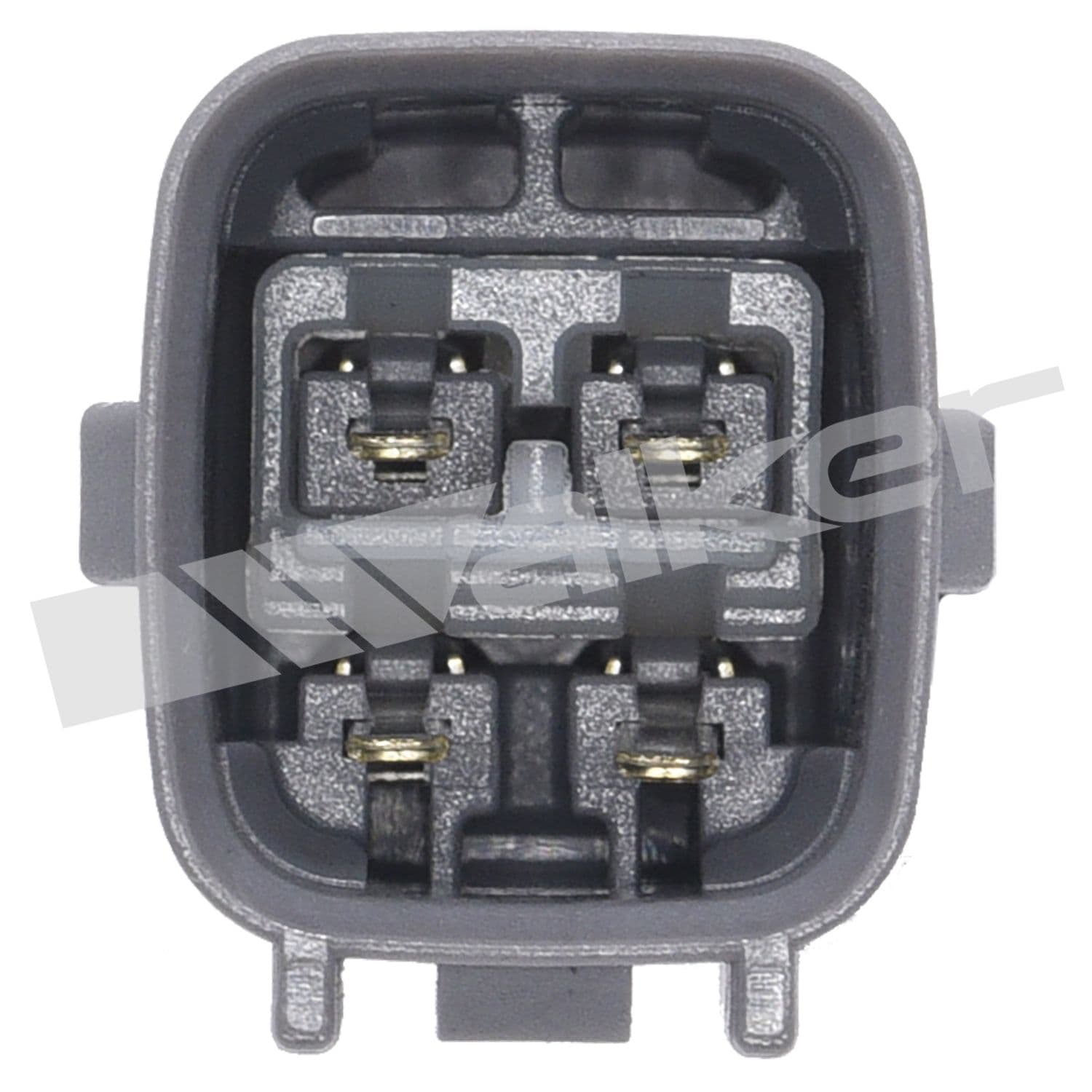 226-250-24777 - Image 4