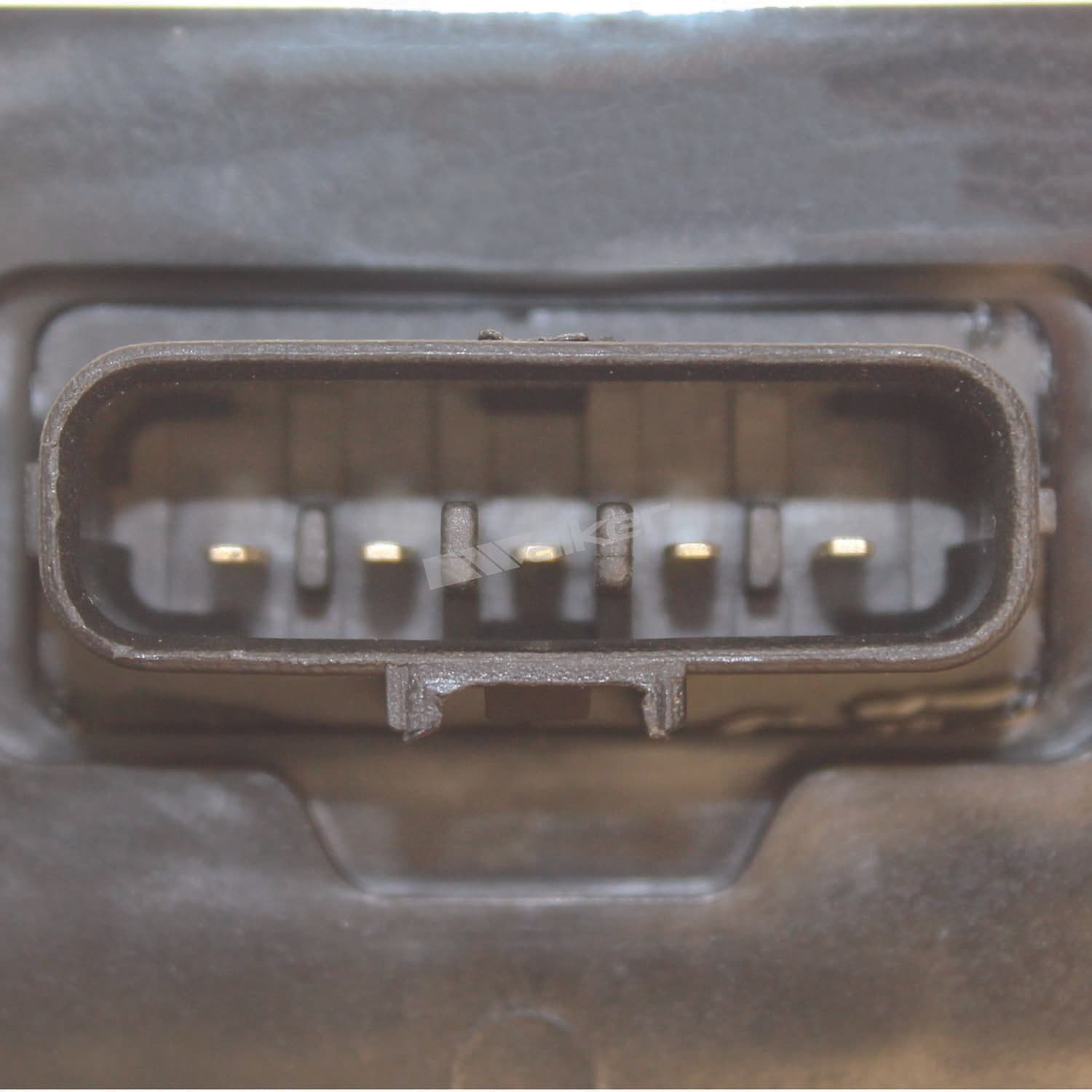 226-245-1137 - Image 3