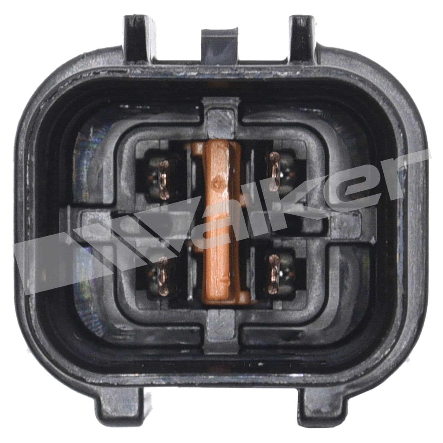 226-250-24909 - Image 4