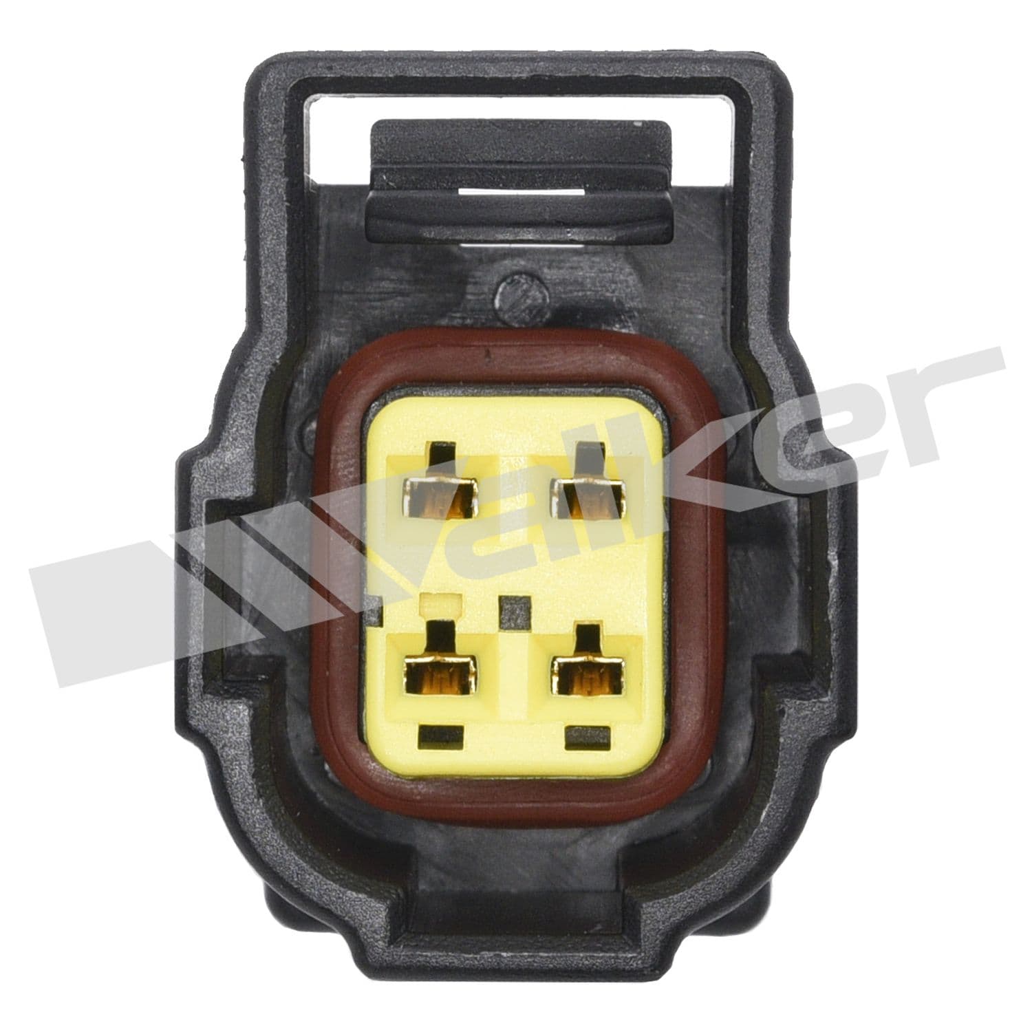 226-250-24675 - Image 4