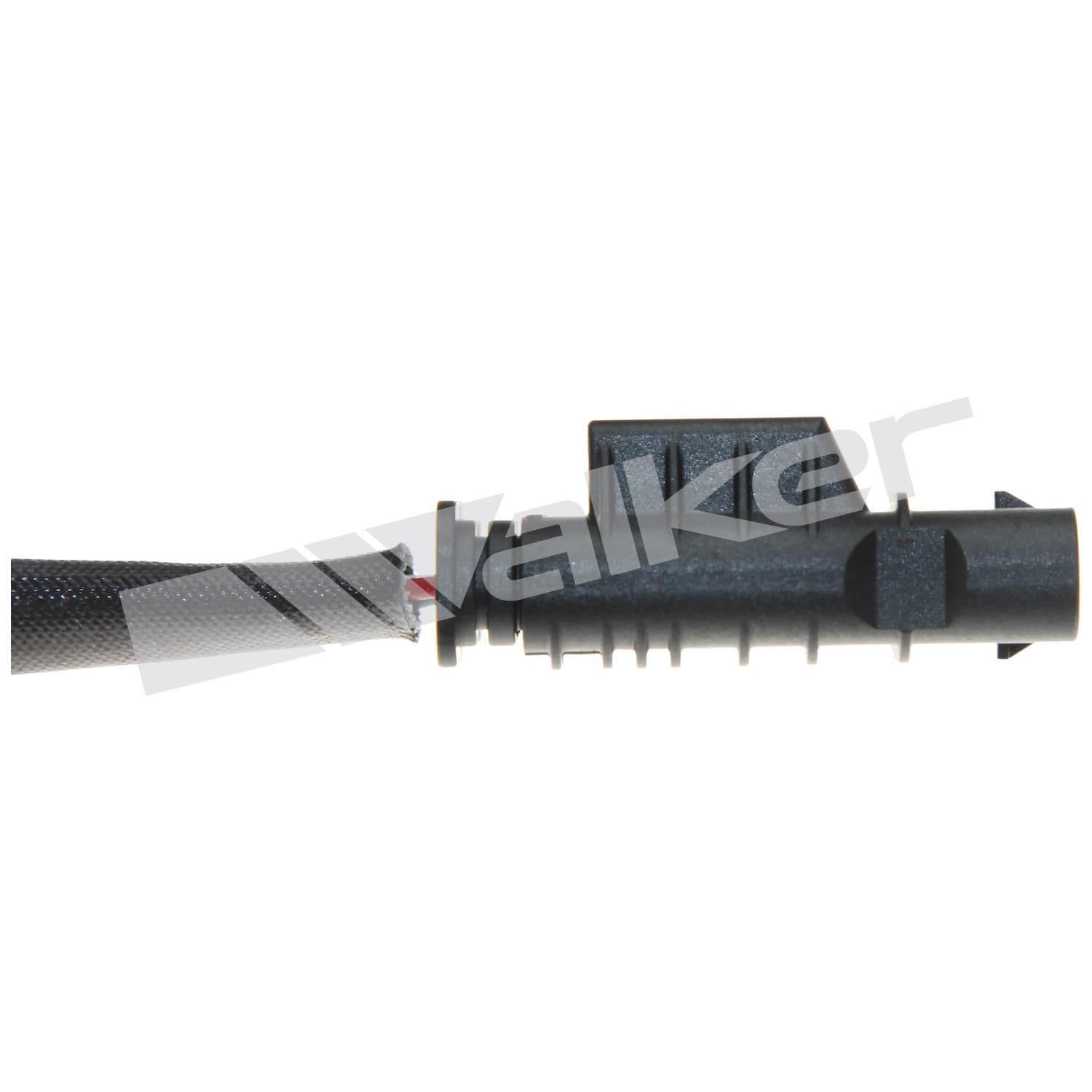 226-250-241213 - Image 4