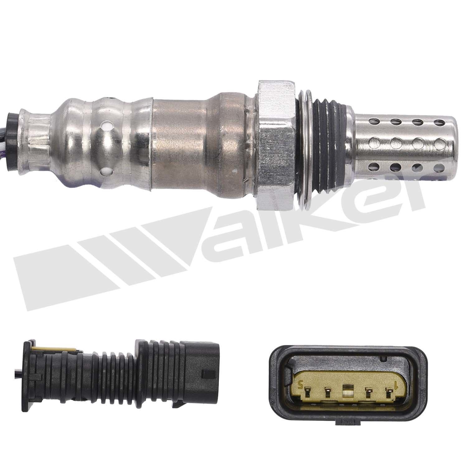 226-250-241027 - Image 4