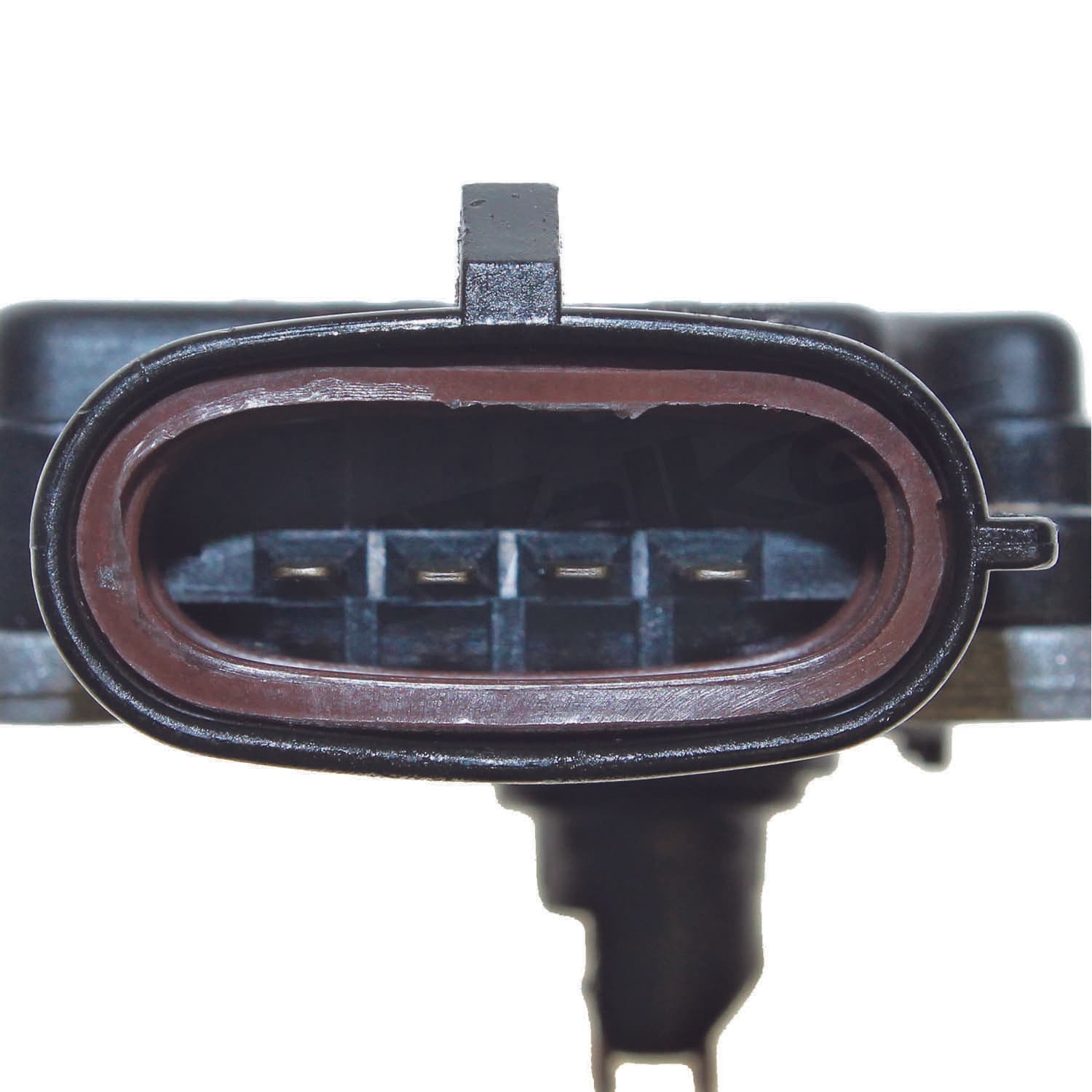 226-245-2154 - Image 3