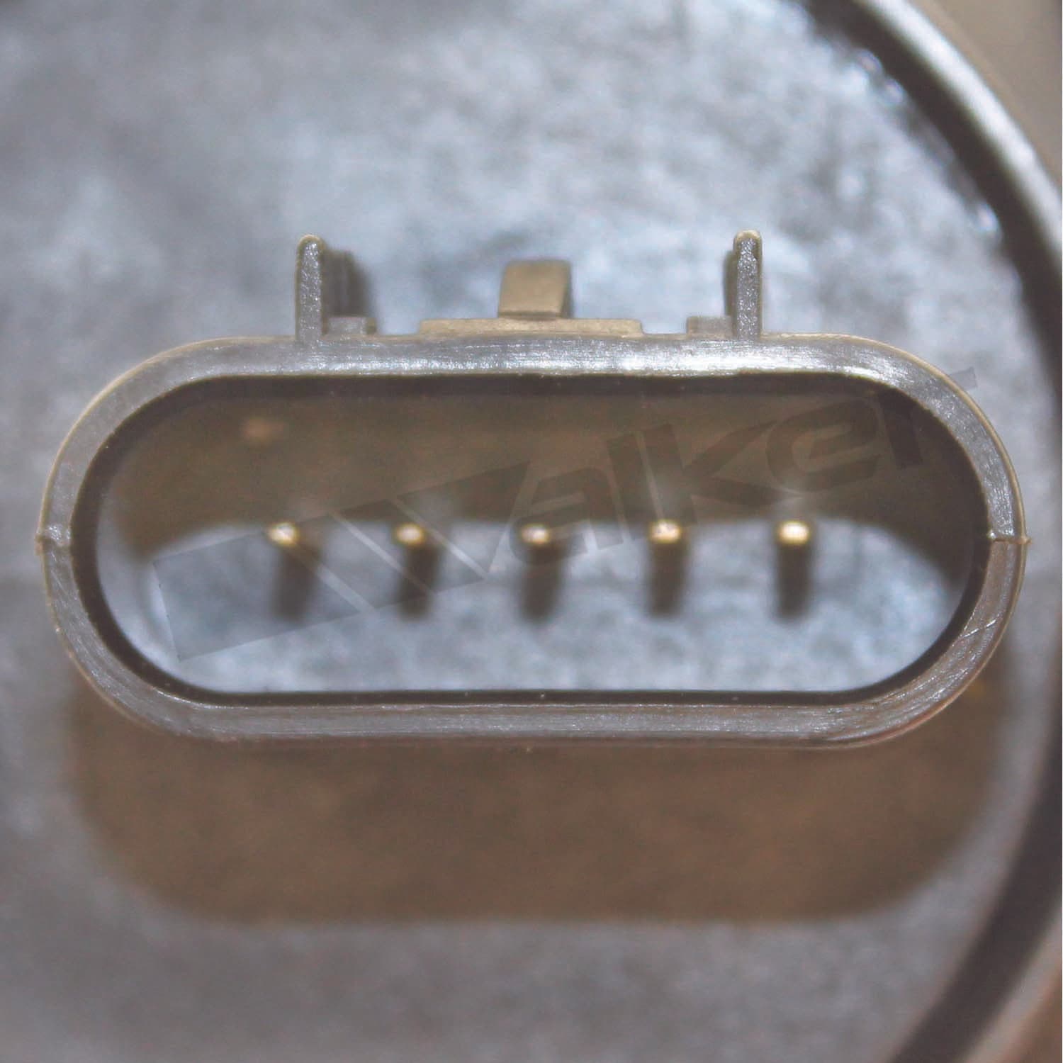 226-245-1229 - Image 3