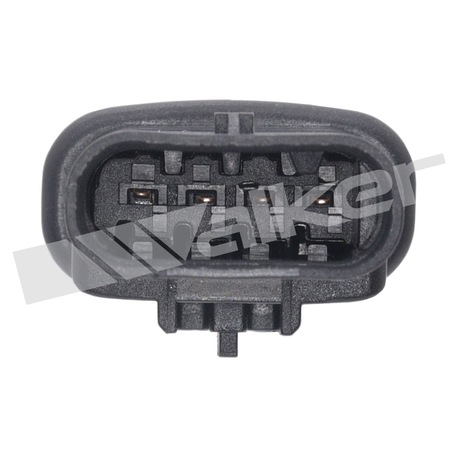 226-250-241269 - Image 4